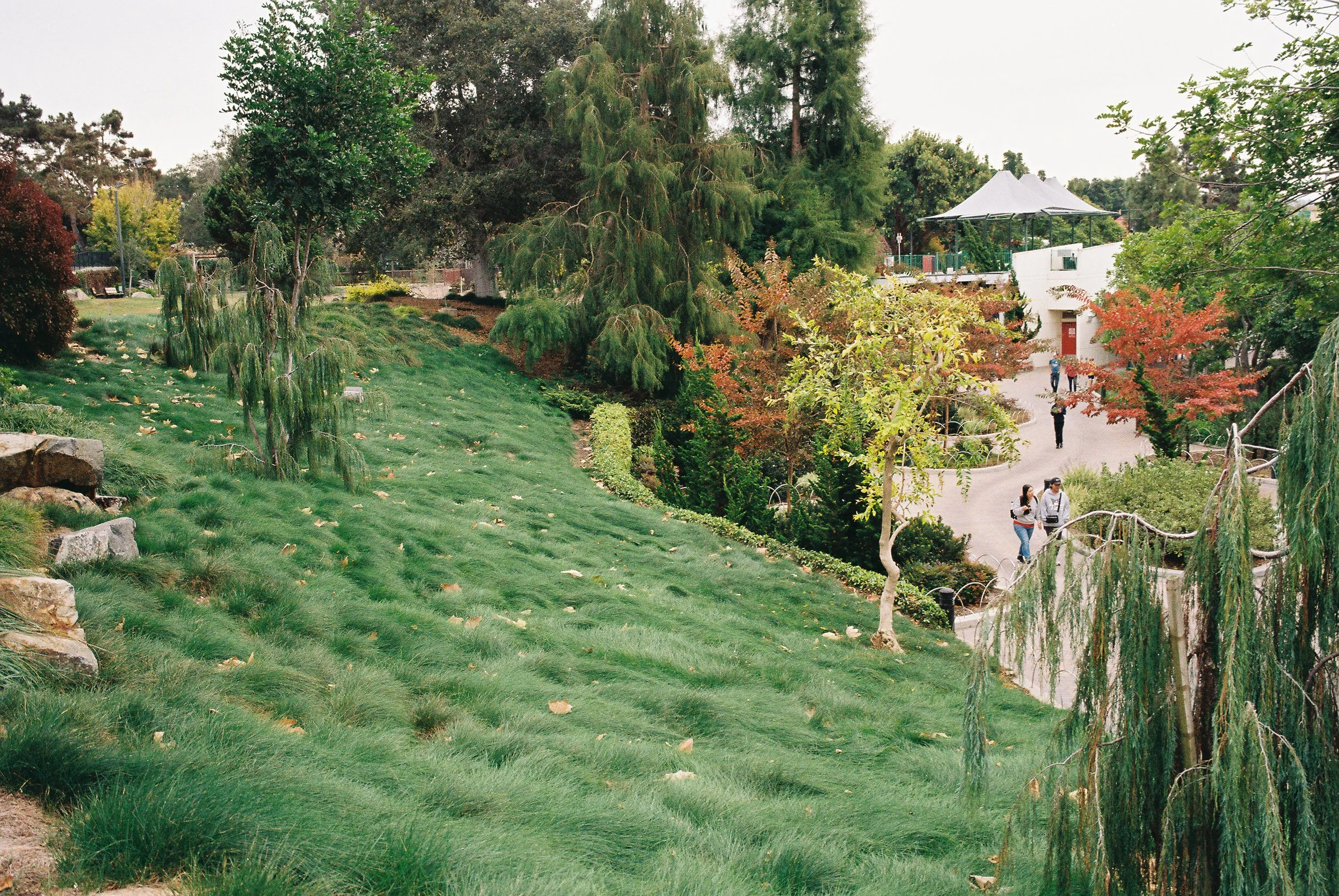 11 LeicaM6 R4 Gold200 241126 Lego33.jpg