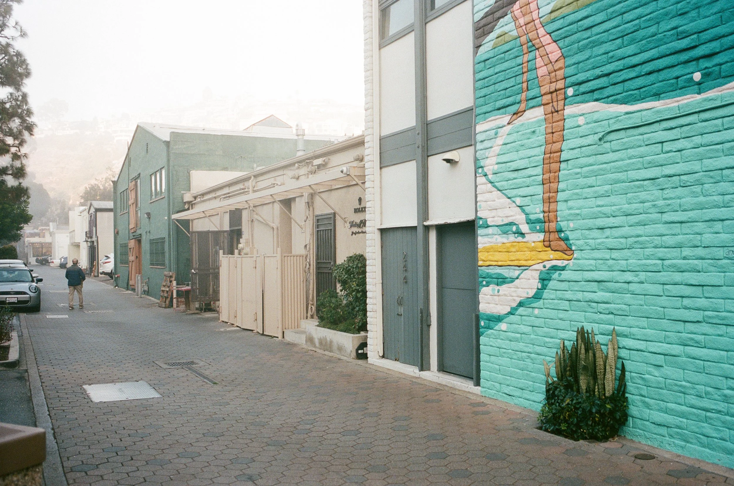 11 LeicaM6 R6 Portra400 241120 ThanksgivingGGirlsHN32.JPG