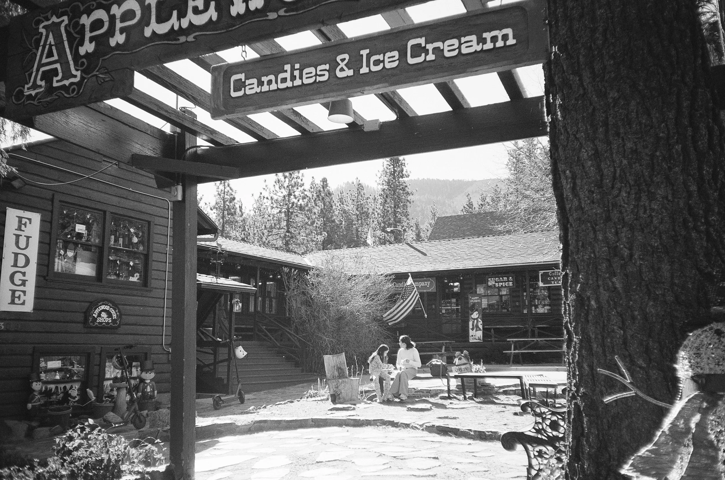 01 AutoboyD5 R1 IlfordXP2 250124 Wrightwood 20.jpg