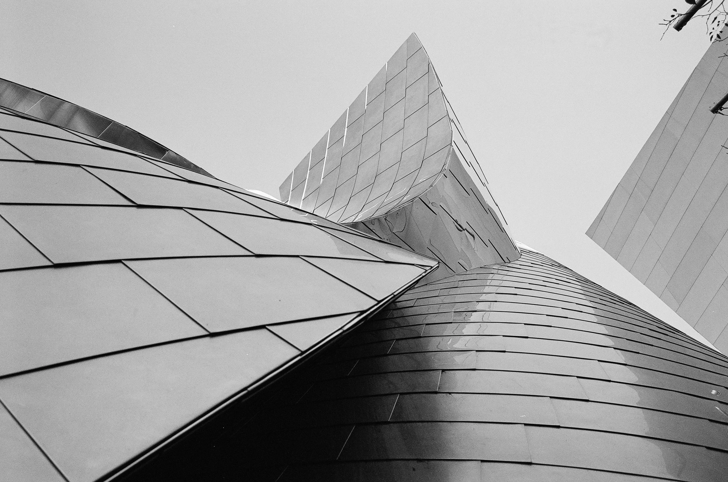 Ilford XP2
