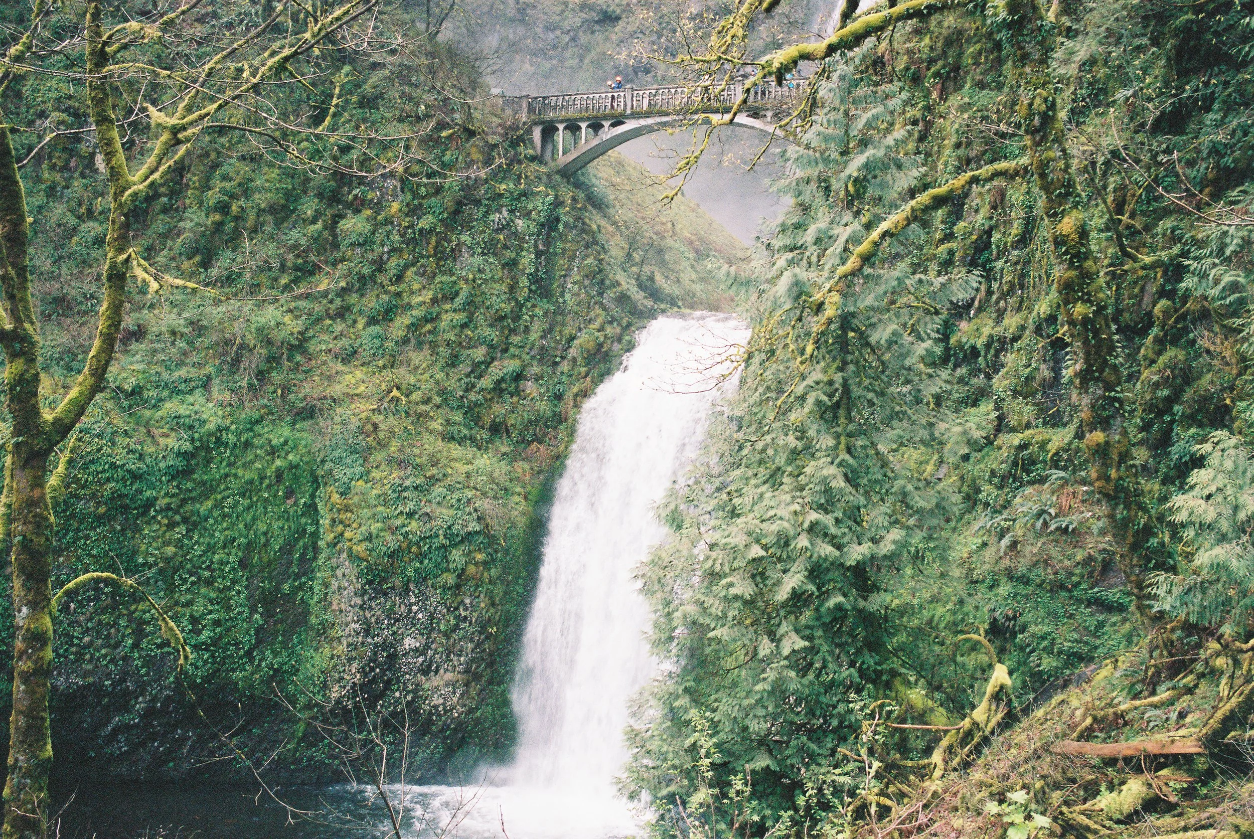 04 LeicaM6 R1 Portra400 250402 Portland1  022.JPG