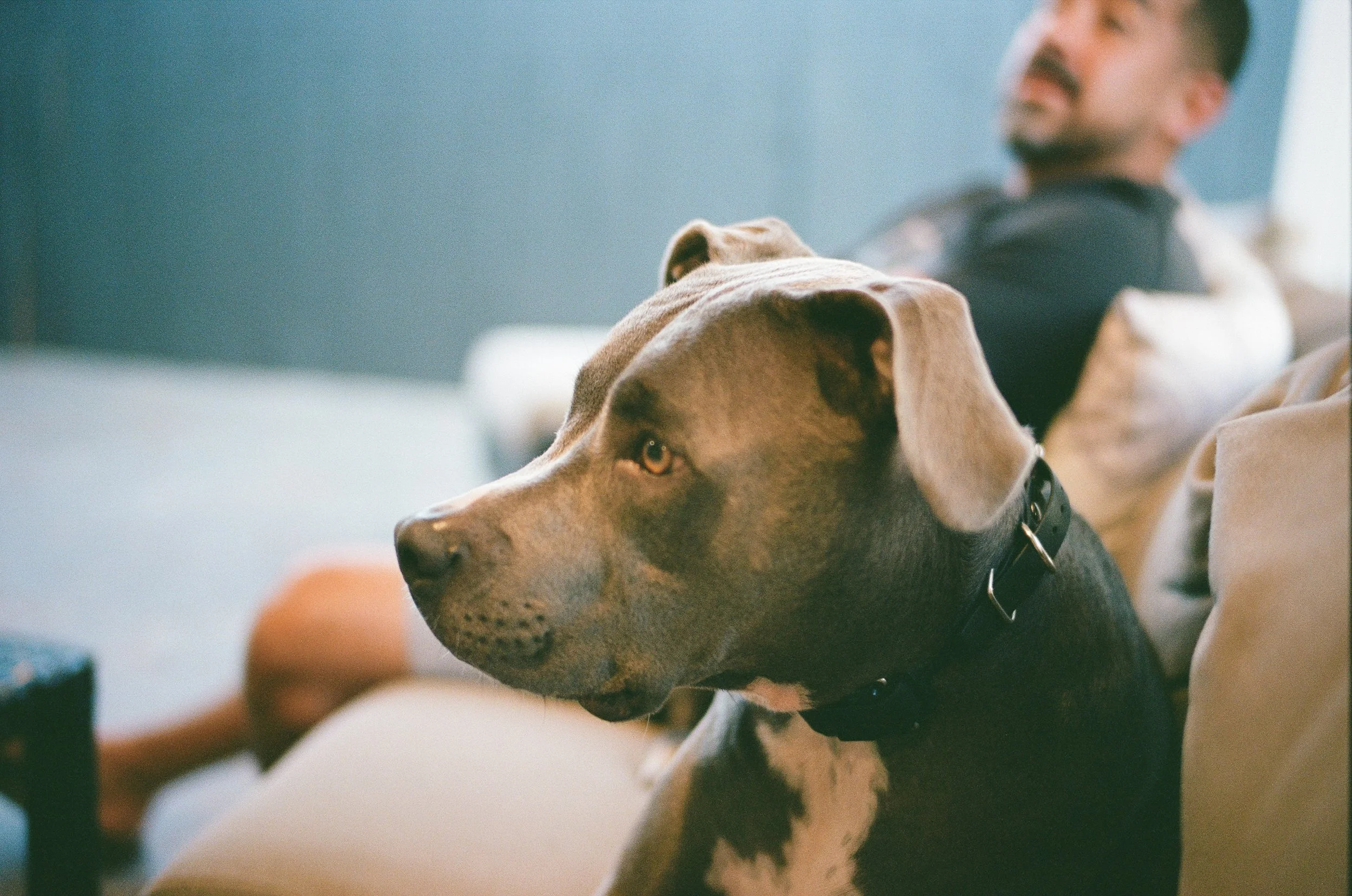 10 LeicaM6 R3 Portra400 241018_SciCat31.JPG