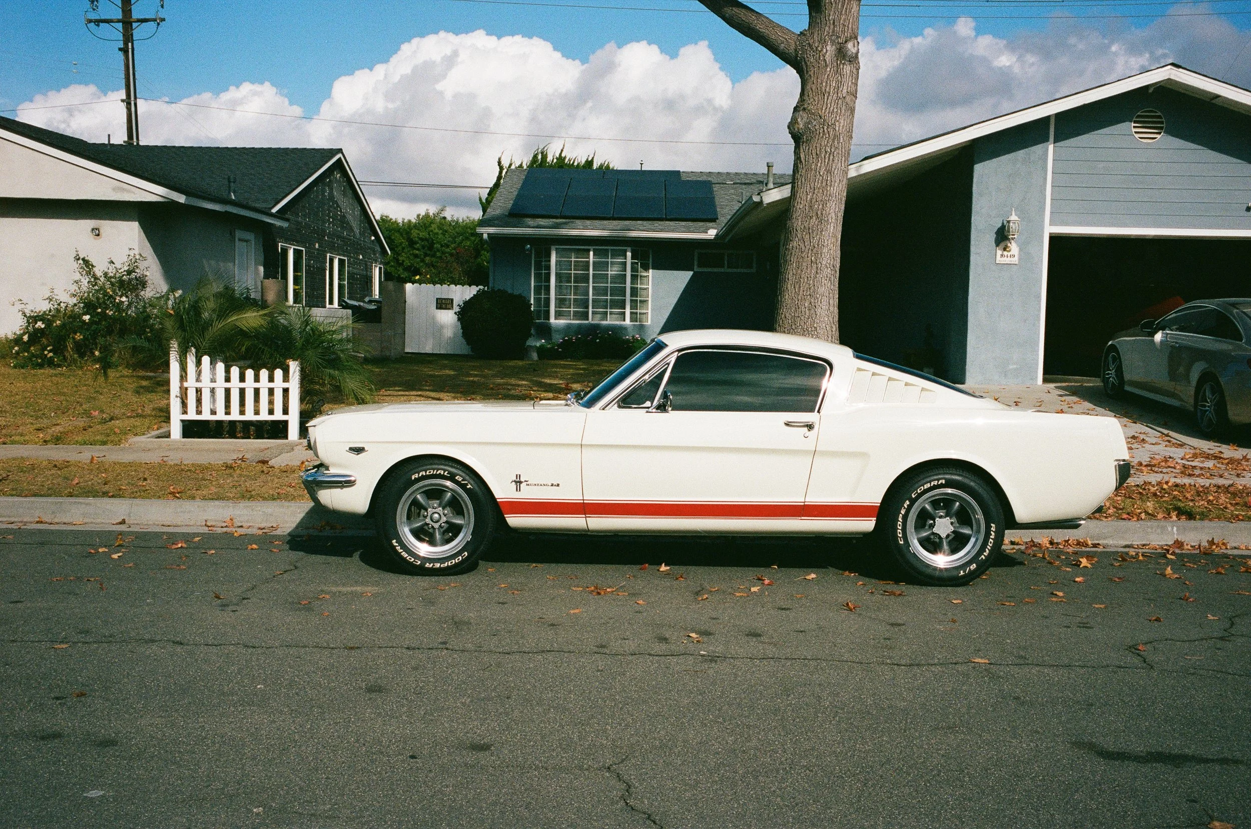 11 LeicaM6 R2 Portra400 241124_CJbdayCMM33.JPG