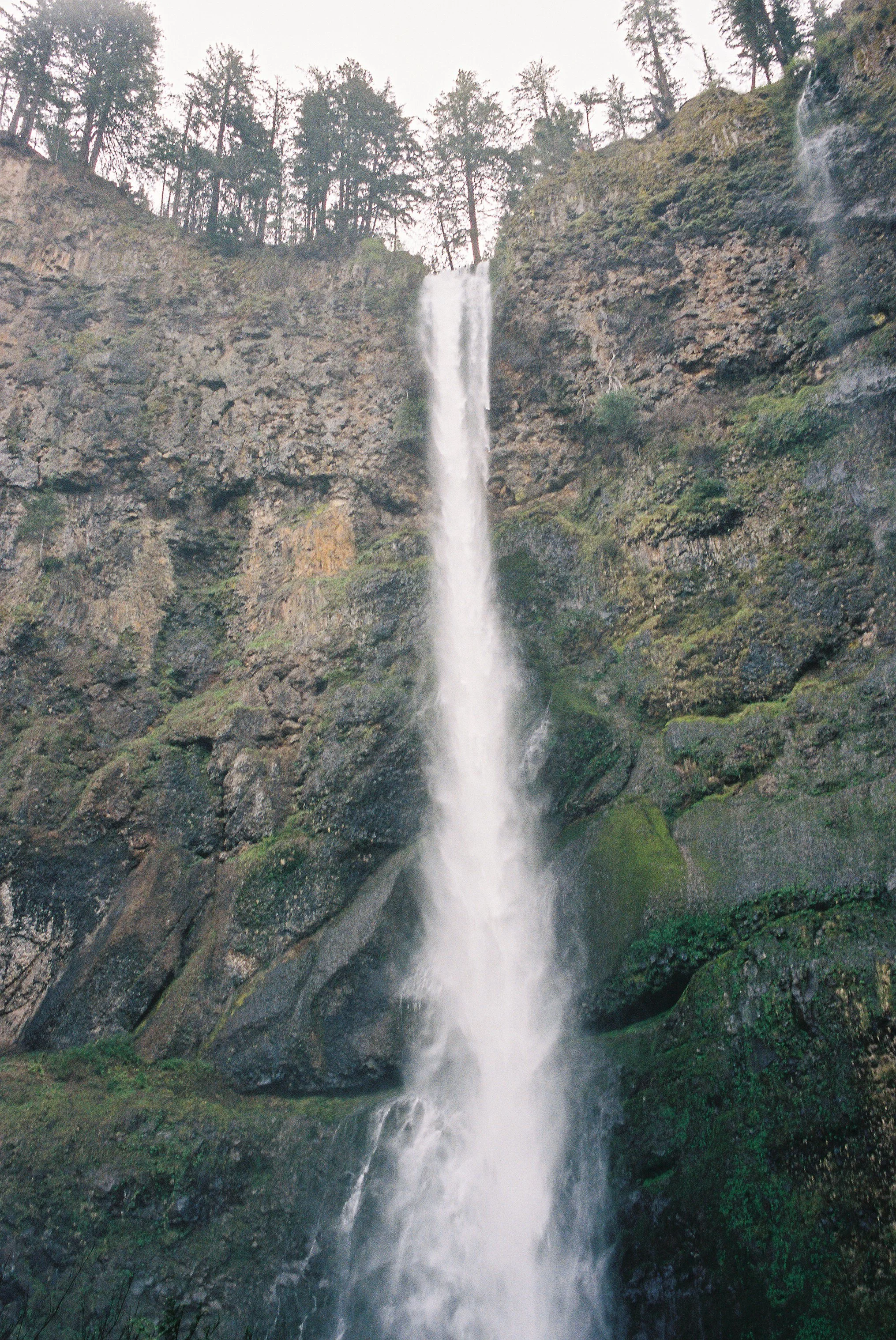 04 LeicaM6 R1 Portra400 250402 Portland1  028.JPG