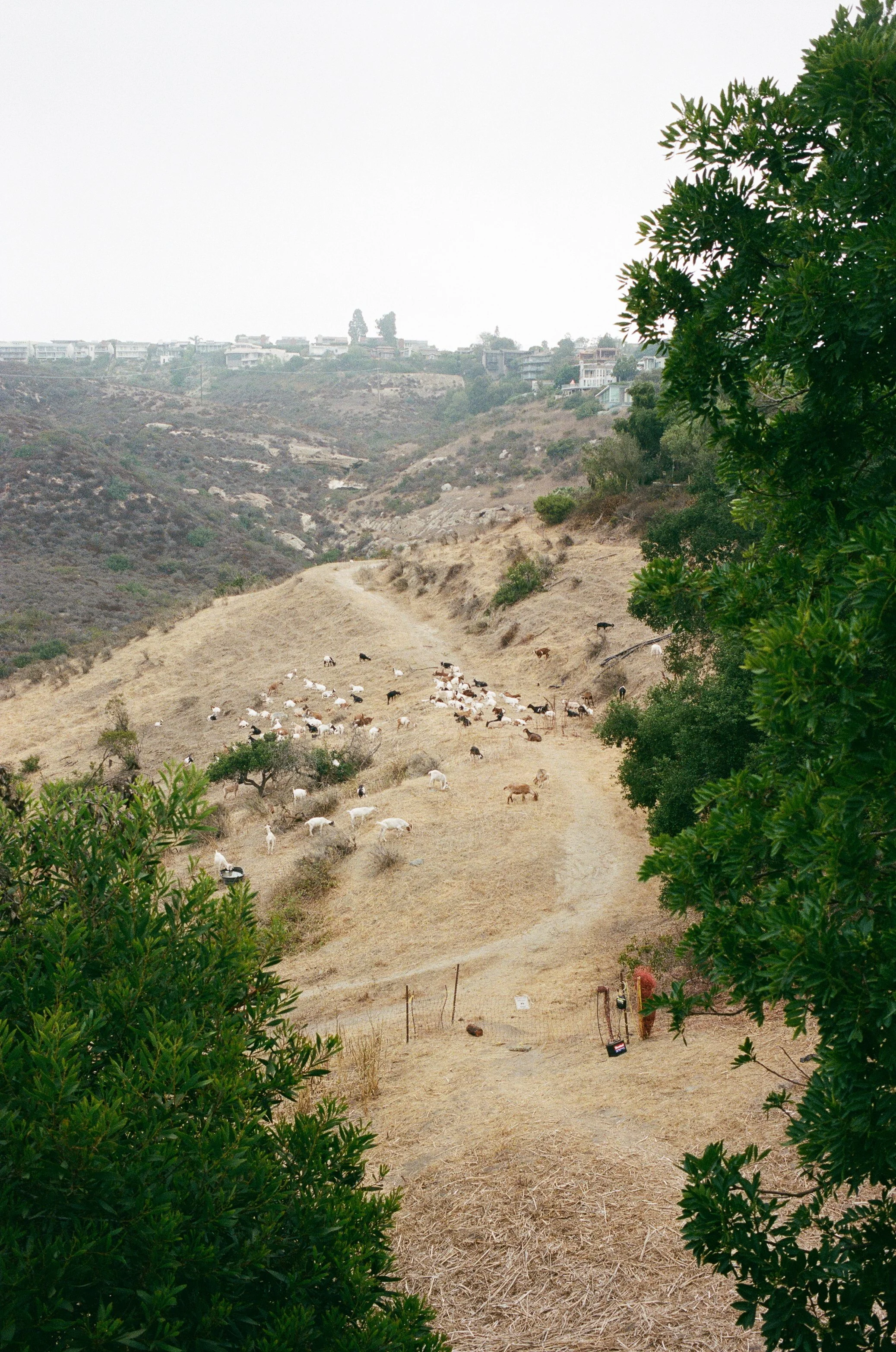 10 M6 R1 Portra400 SawdustBBTSci 10.JPG