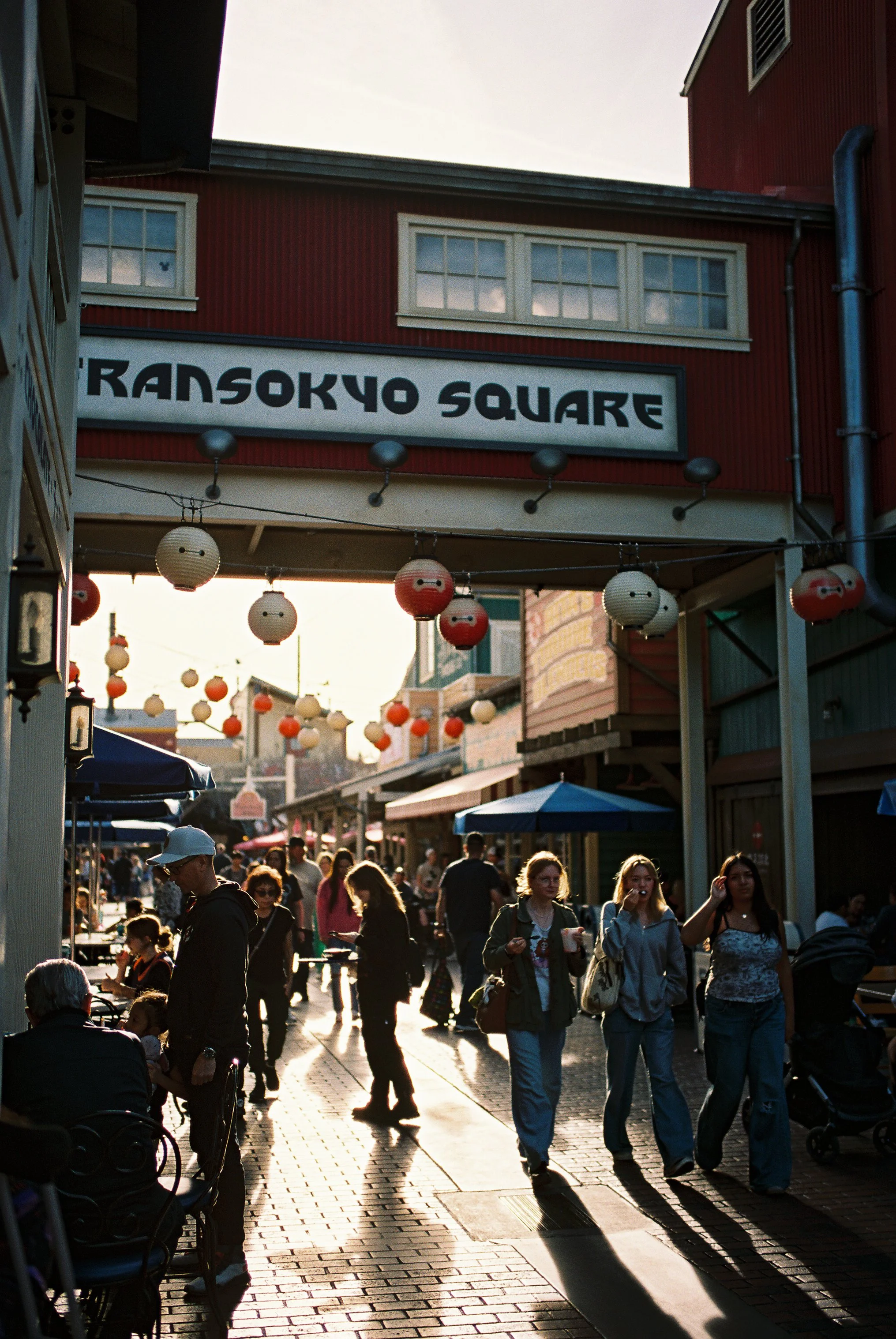 02 LeicaM6 R2 Portra400 20250216 DisneyCA 06.JPG