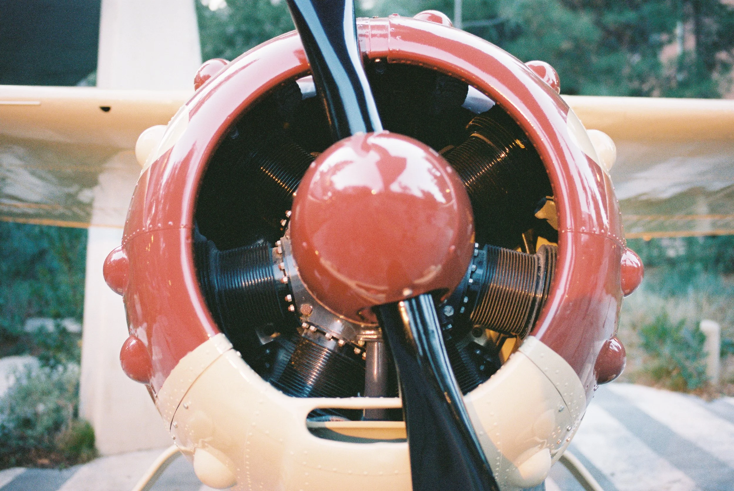 02 LeicaM6 R2 Portra400 20250216 DisneyCA 29.JPG