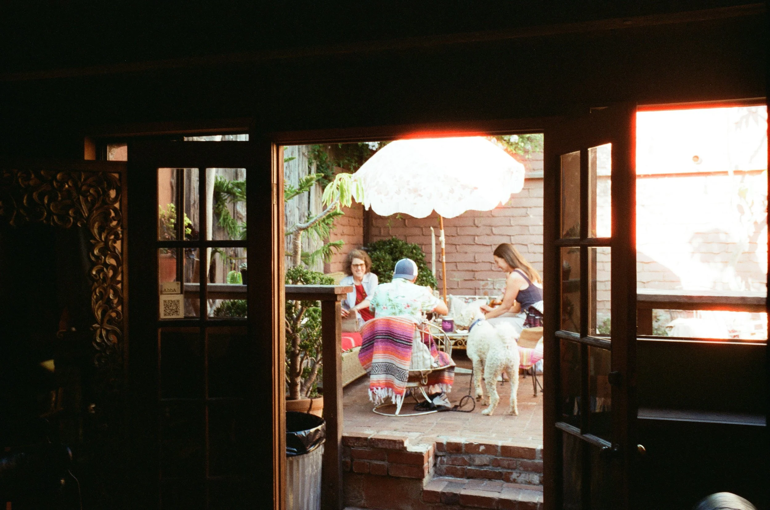 CineStill 400D