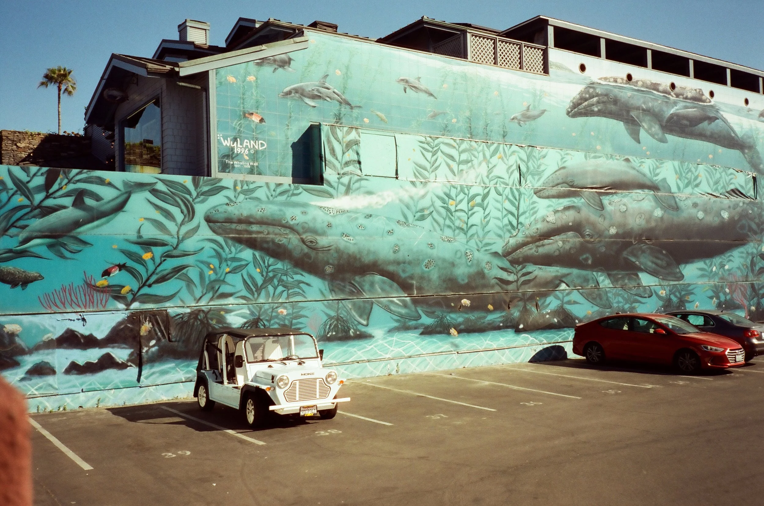 07 Mjuii R2 CineStill400 20240702-12.jpg