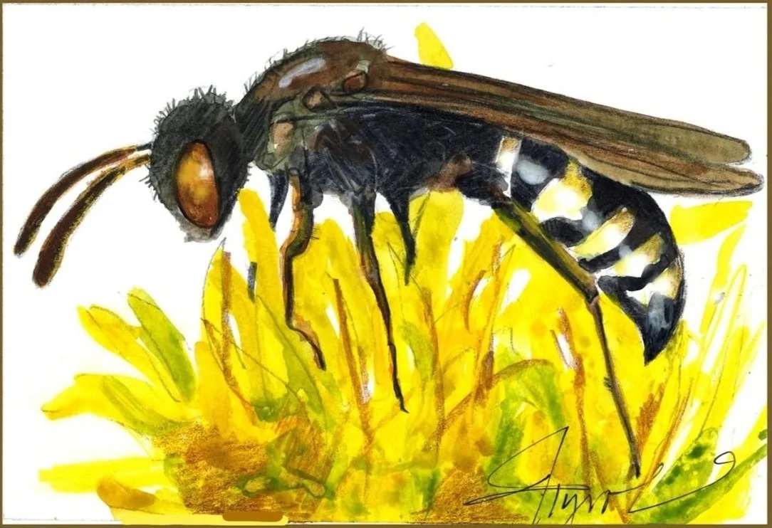 nomad_bee_w_-_abcdef_-_af91a5e2b5b595881b8dcb537ba2f41ad86f1393 copy.jpg