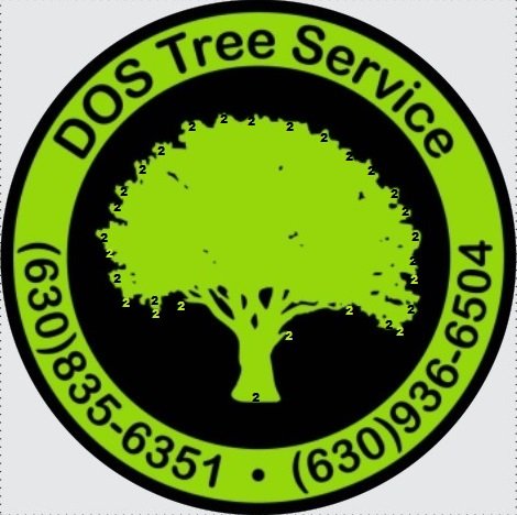  DOS Tree Service 