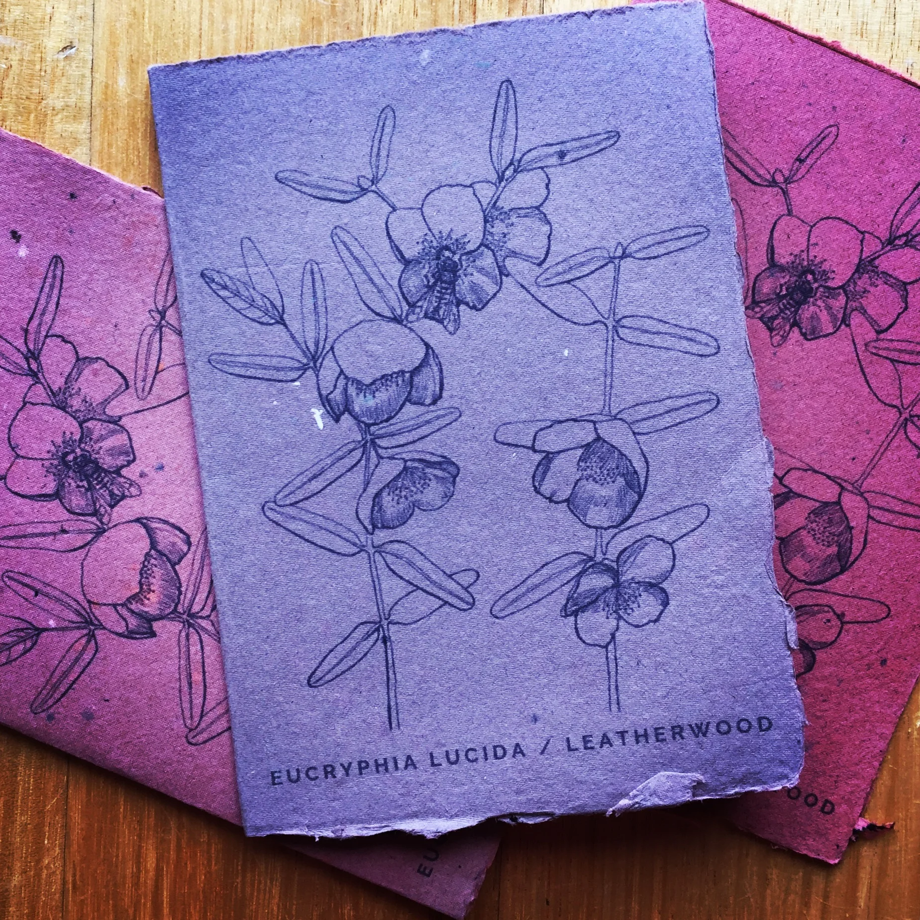 AC438EA3-6CB5-4D4E-B017-3283E47A662D