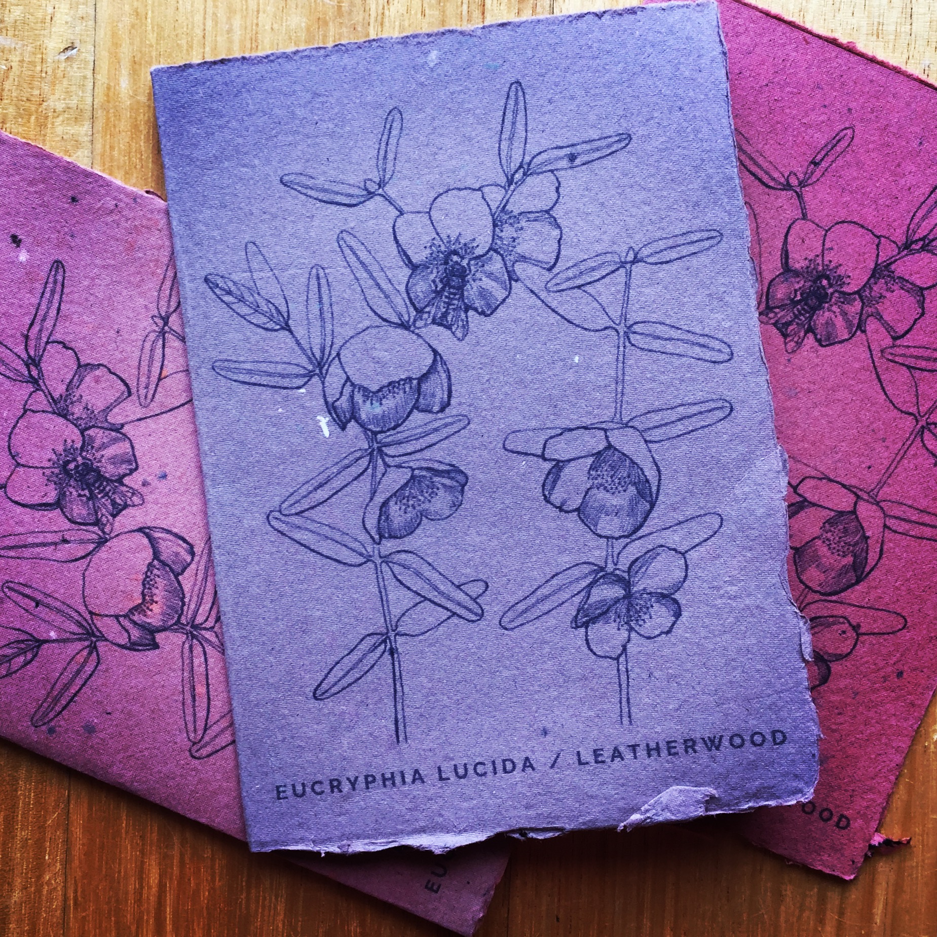 AC438EA3-6CB5-4D4E-B017-3283E47A662D