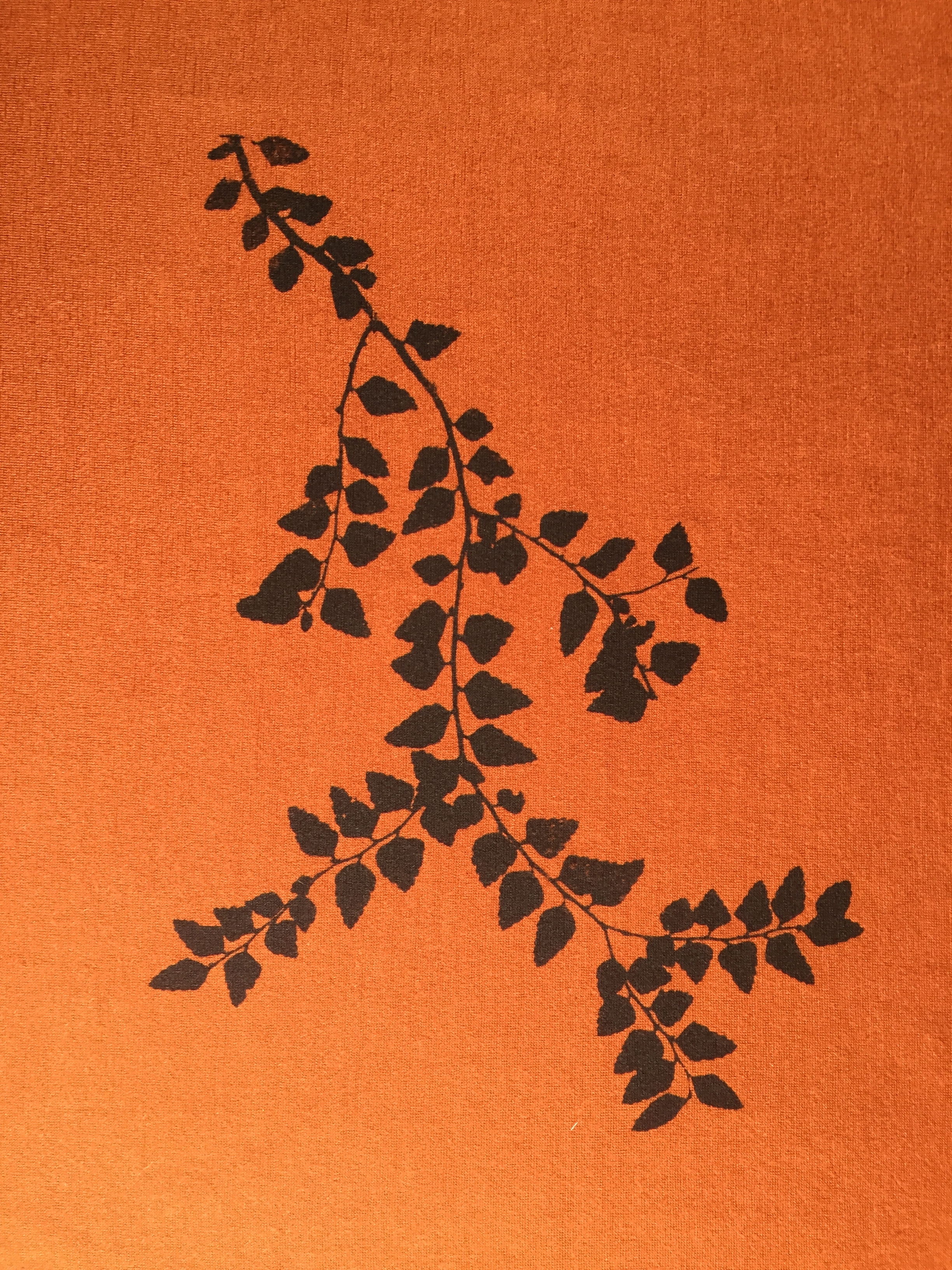 E9E97DBA-5B5D-4EF6-A7BF-FBE3AD3E5E88