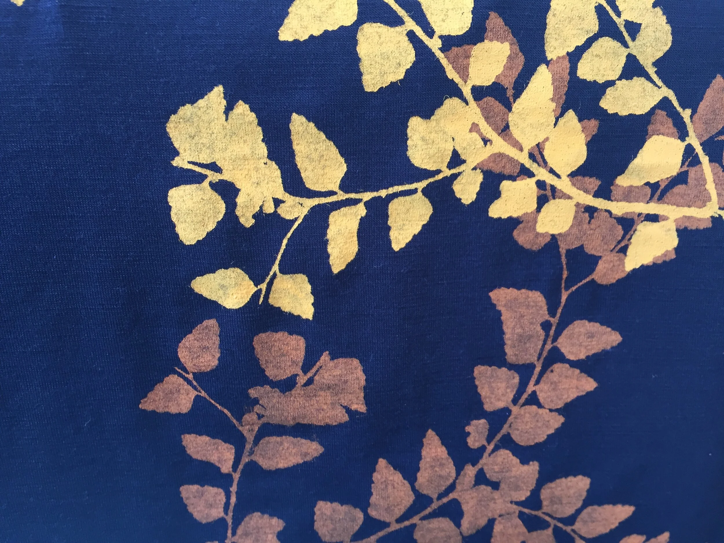 F487302C-A5DC-4210-A31E-DF3DABA0DD68