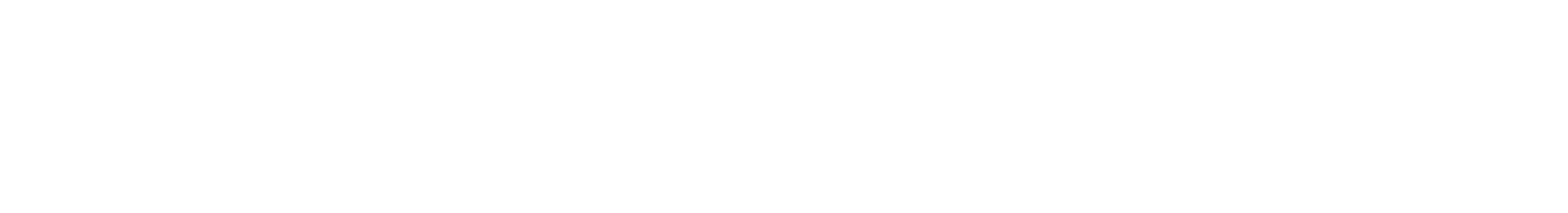 stmt_logo_full_wht.png