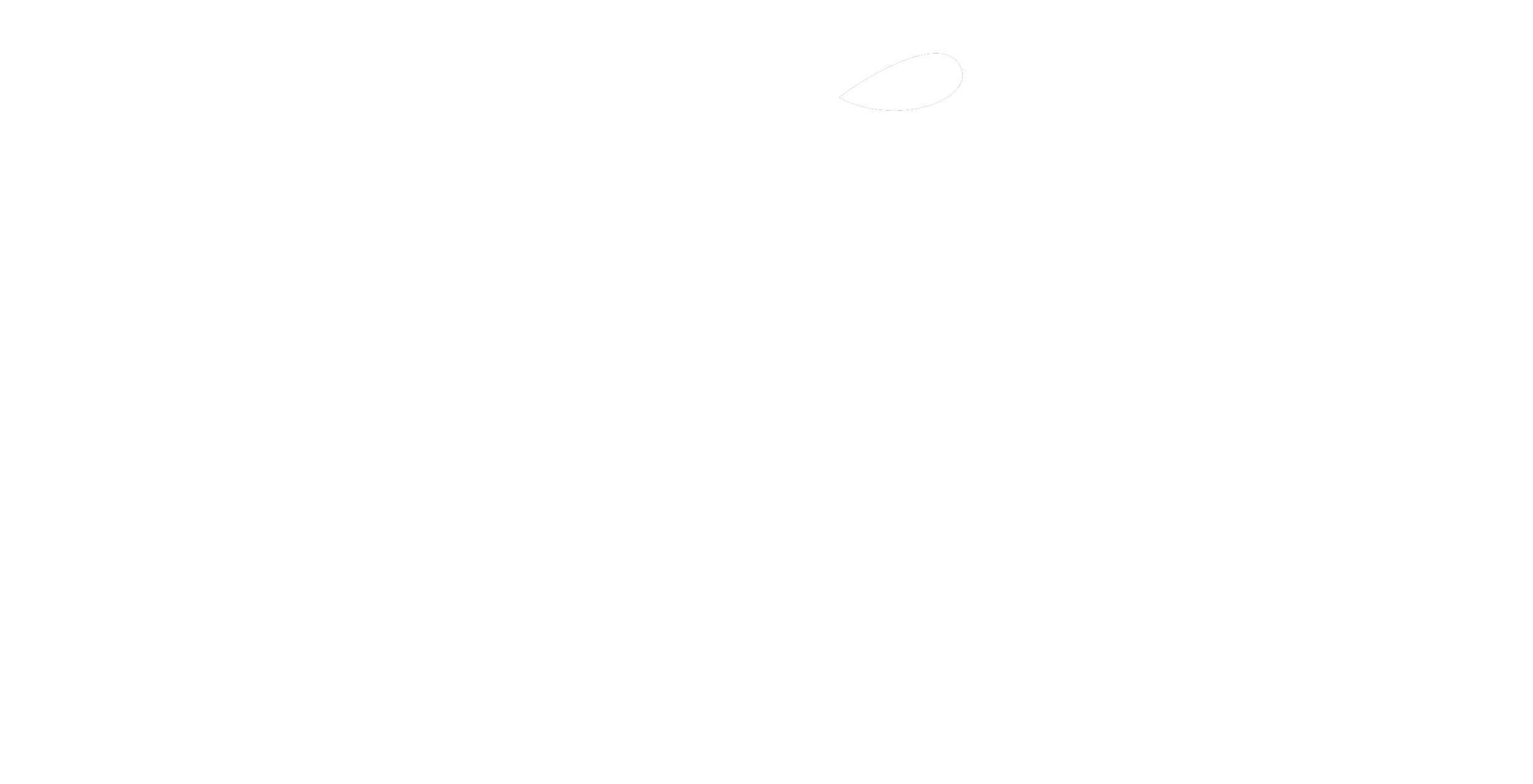 KYLE_KCEDAR_LOGO_final_wht_.png
