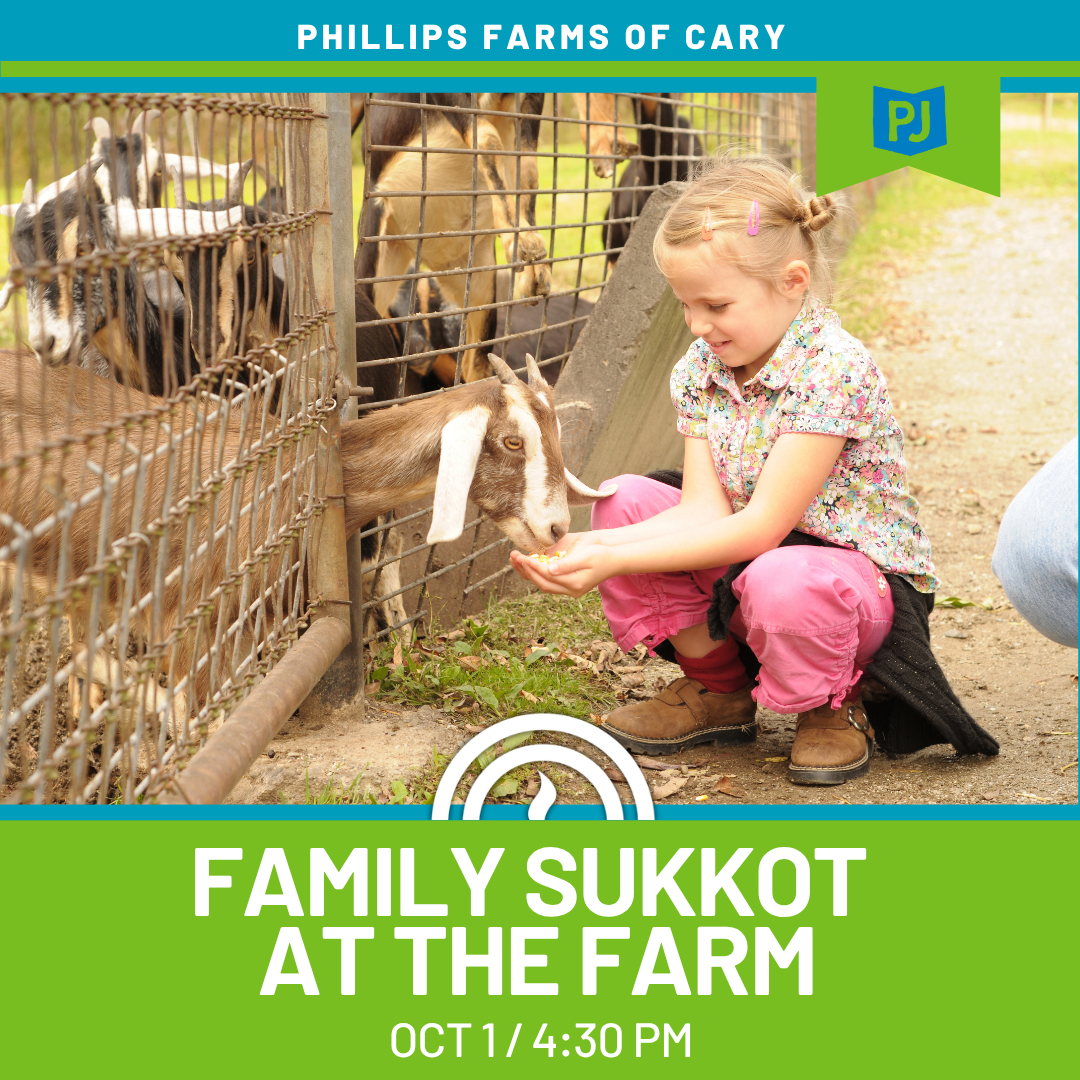 Sukkot Day at Phillips Farm with Chabad of Cary and PJ Library 