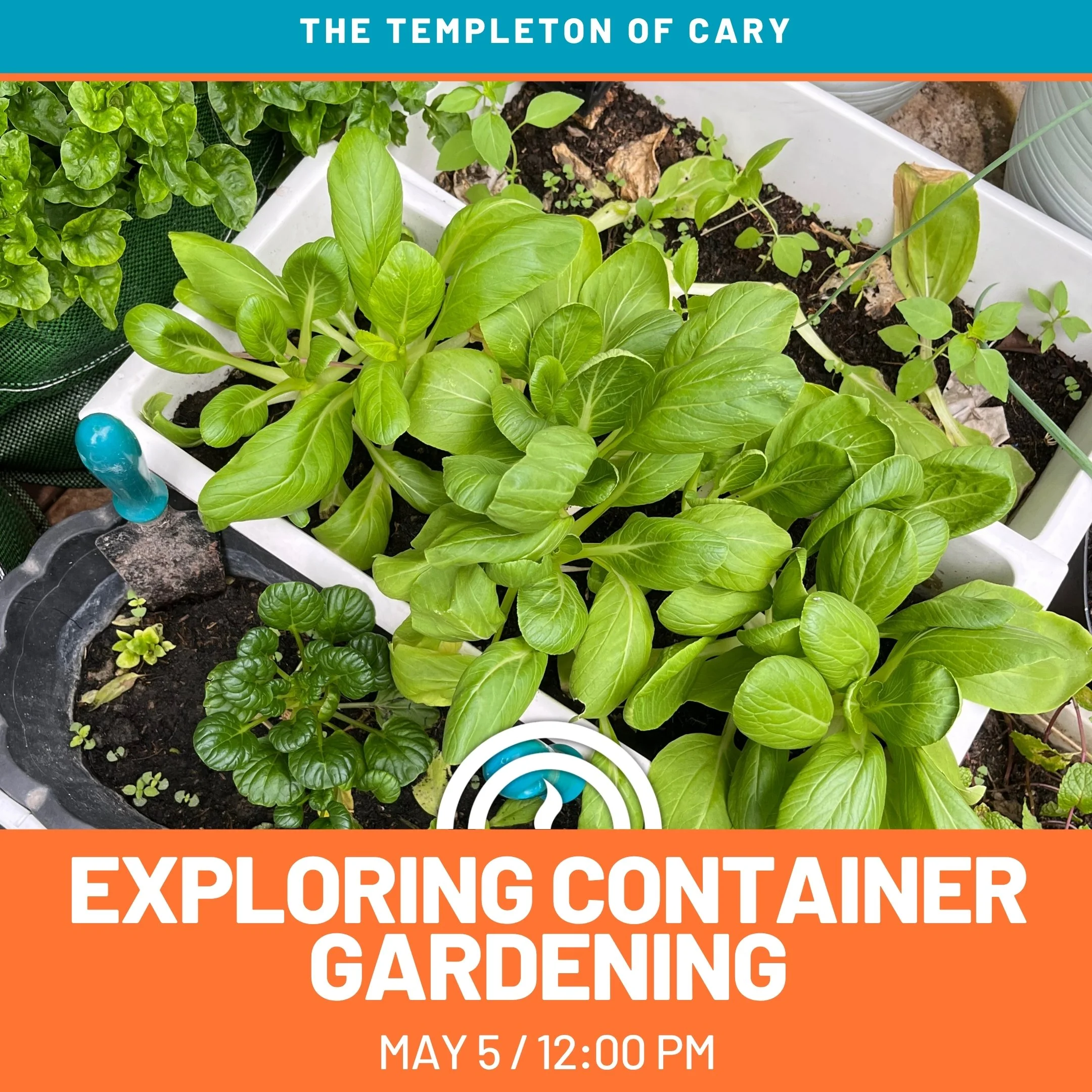 Western Wake Speaker Lunch: "Exploring Container Gardening"