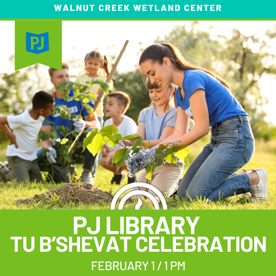 PJ Tu B'Shevat at Walnut Creek Wetland Center