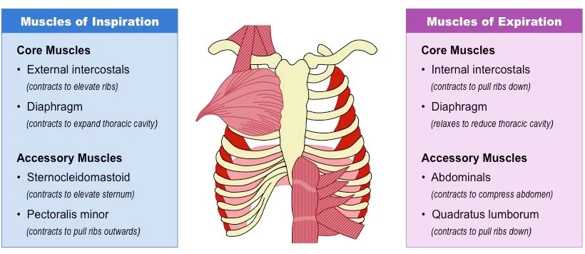 Source: https://goo.gl/images/61o97P