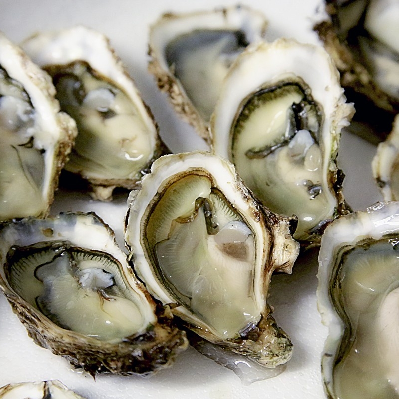 oyster_shell_seafood_crustaceans-572248.jpg!d.jpeg