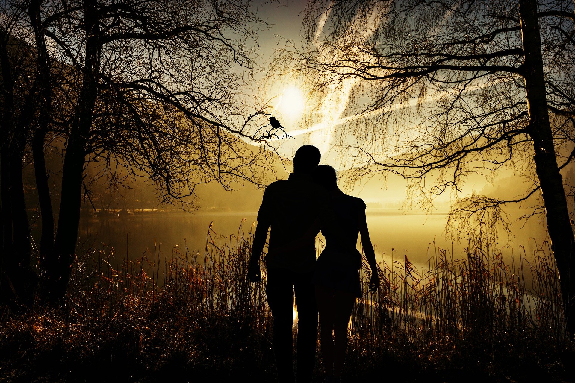 The Art of Effective Communication for Couples and Families
