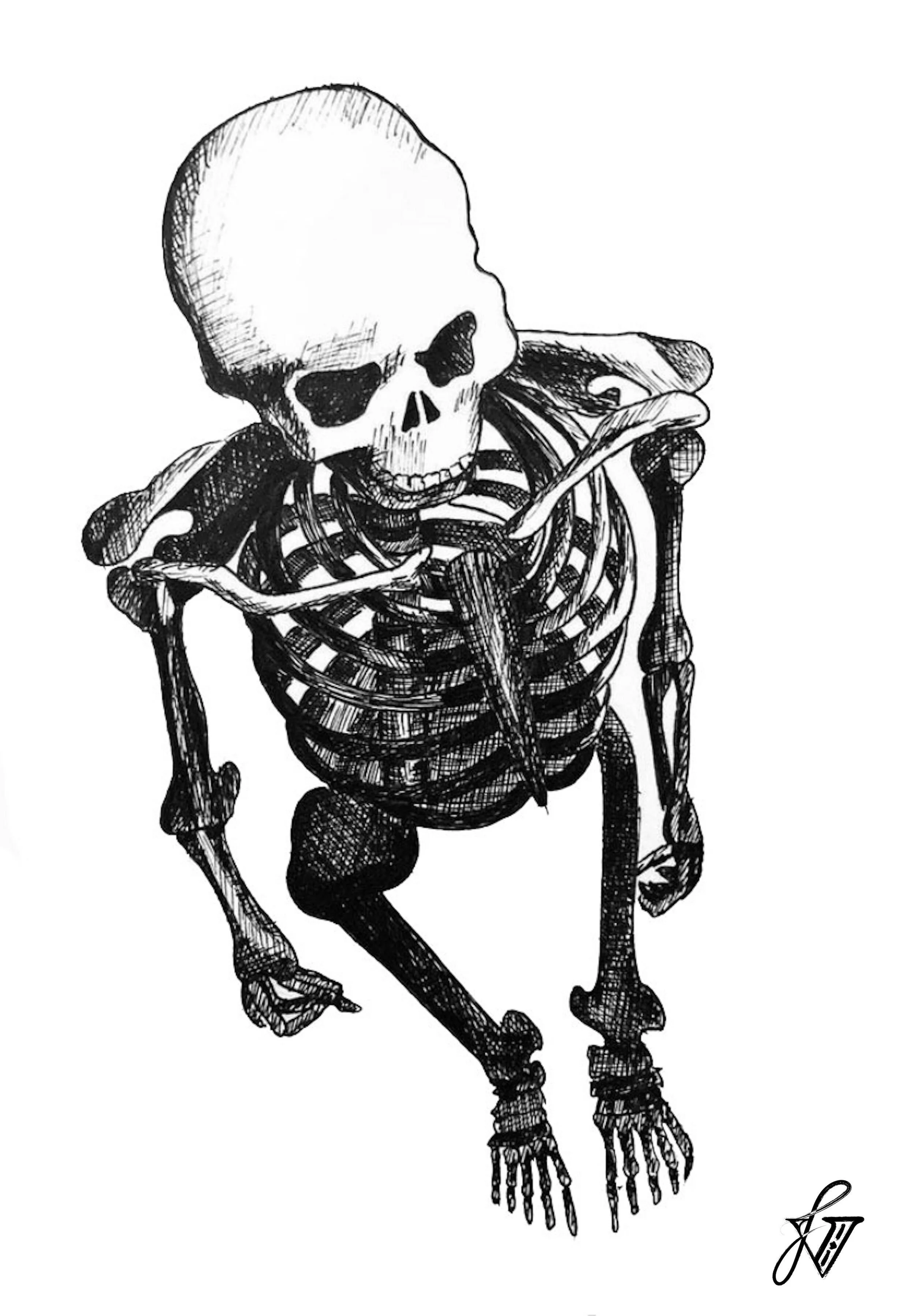 skeleton.jpeg