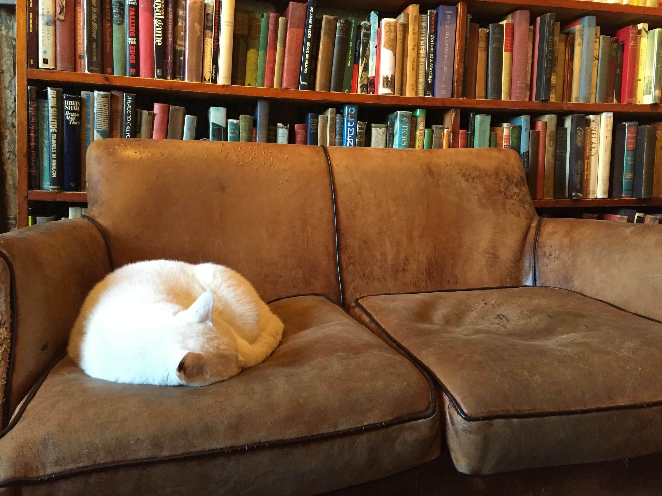 Shakespeare And Company Paris