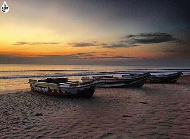 -Photo number 99-
Photo Location: Nilaveli Beach 
Trincomalee, Sri Lanka 
Photo Featured: @tv_aqua @everydayvoyager 
April 28, 2016
#splendid_shotz #tv_global #tv_allnature #tv_aqua #splendid_earth #splendid_horizon #sunset_stream #sunset #sunrise_su