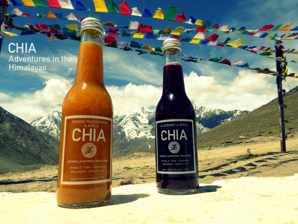 chia-adventures-in-the-himalayas-1024x768.jpg