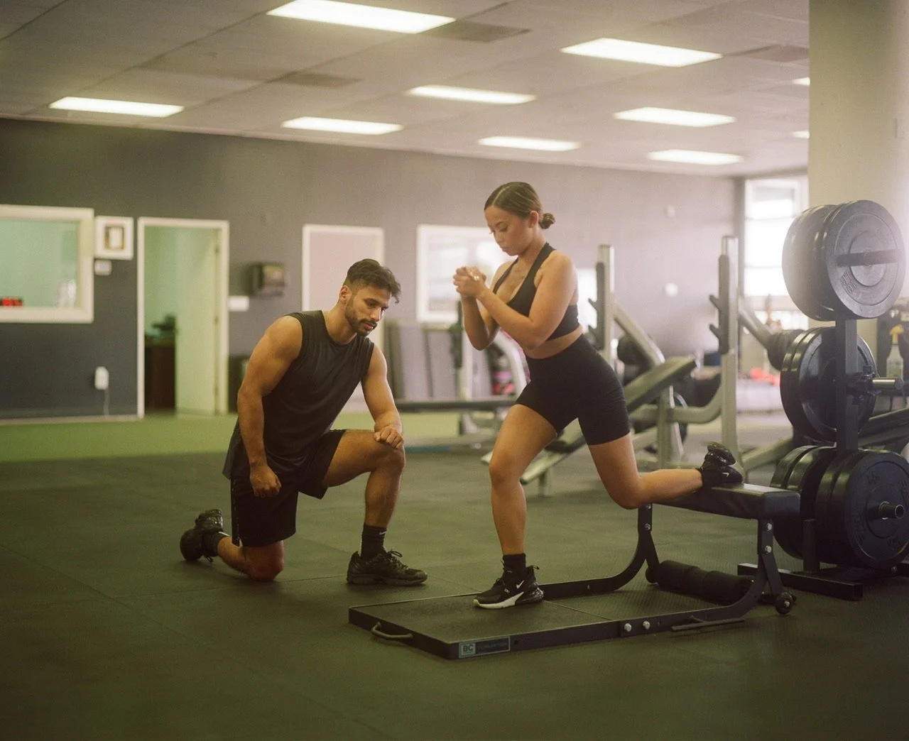 New Products — DB TRAINING