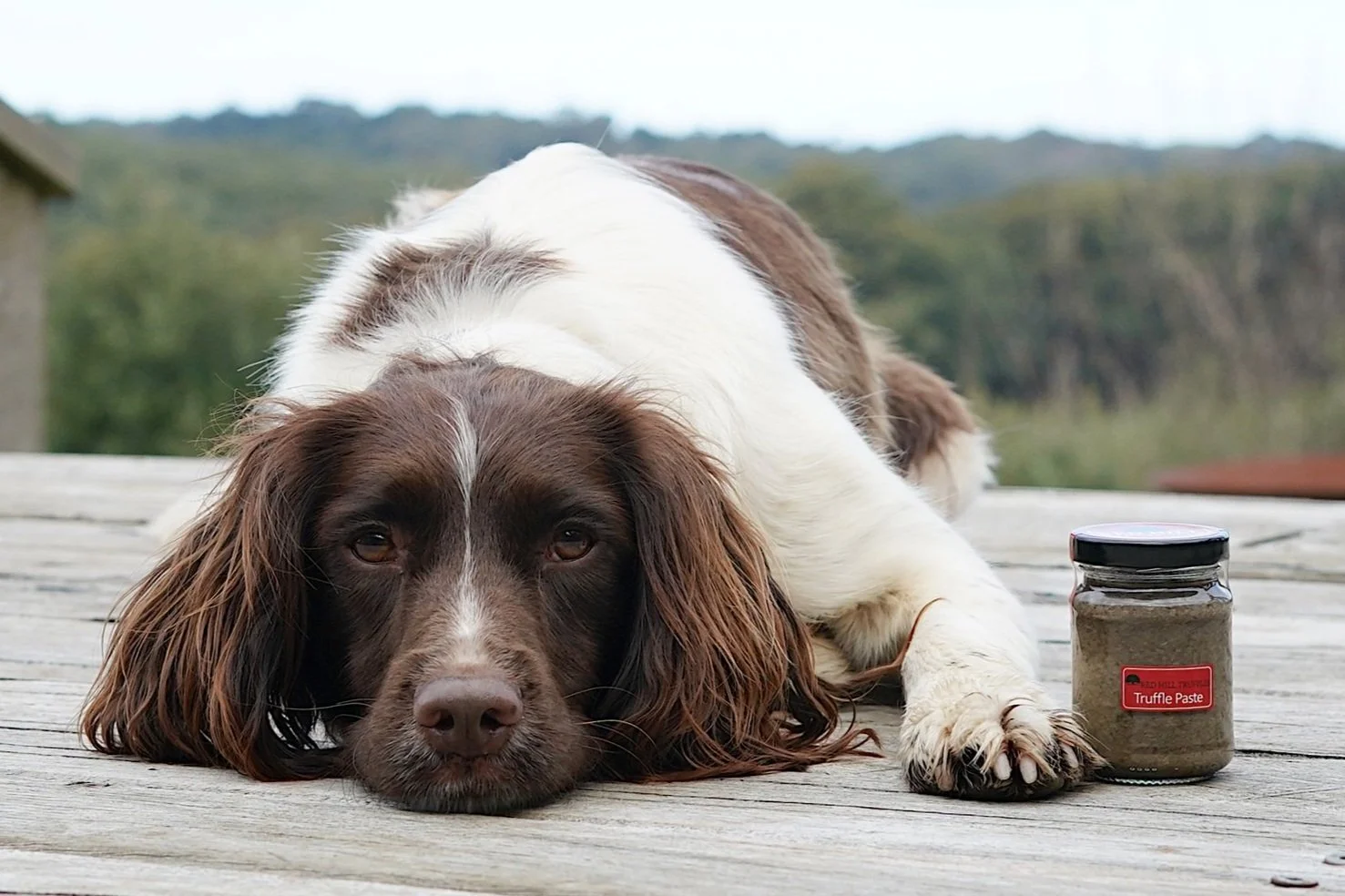 COST FREE PARTICIPATION — EatDrink Mornington Peninsula