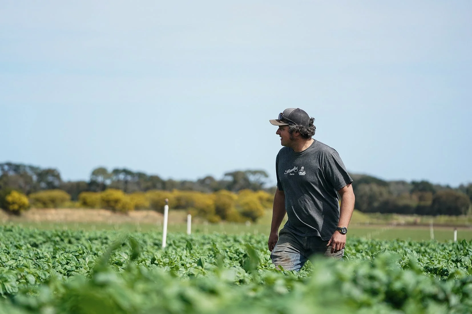 Hawkes Farm — EatDrink Mornington Peninsula