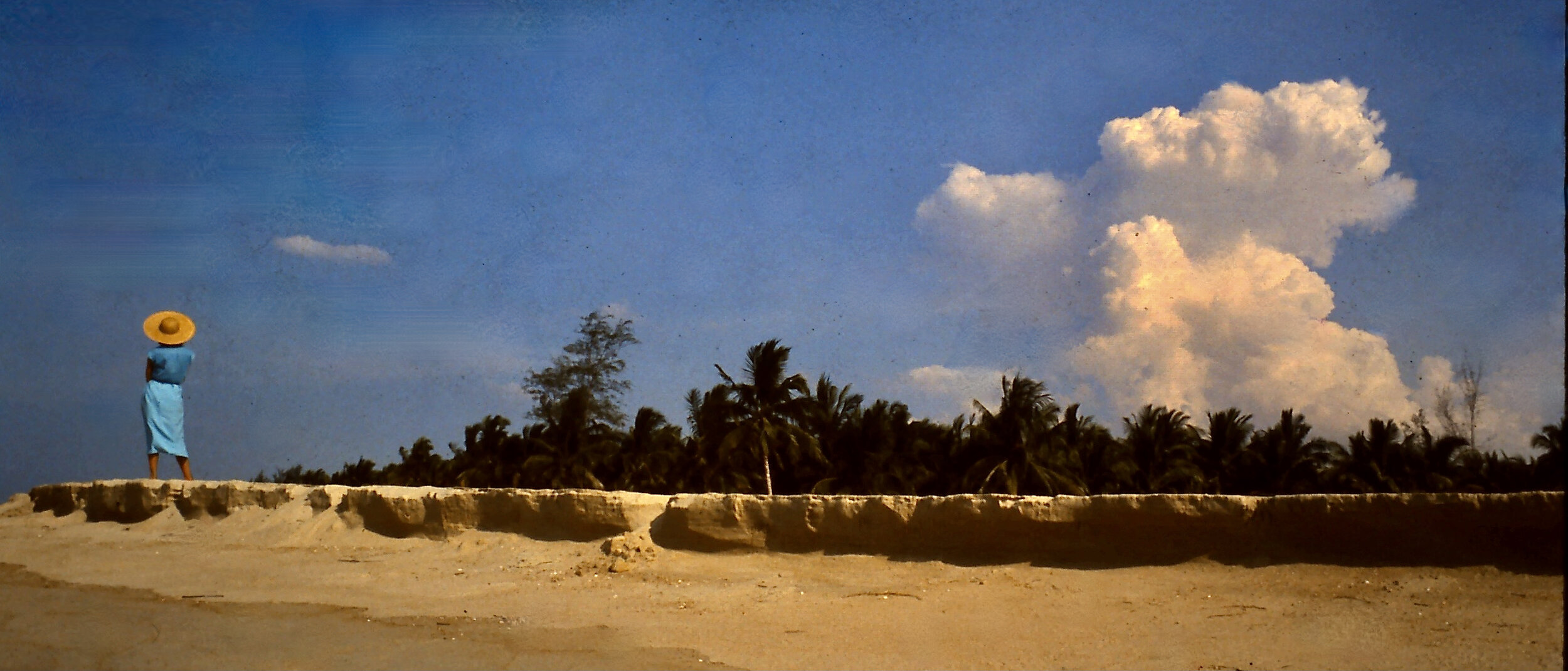 Mar22354.JPG