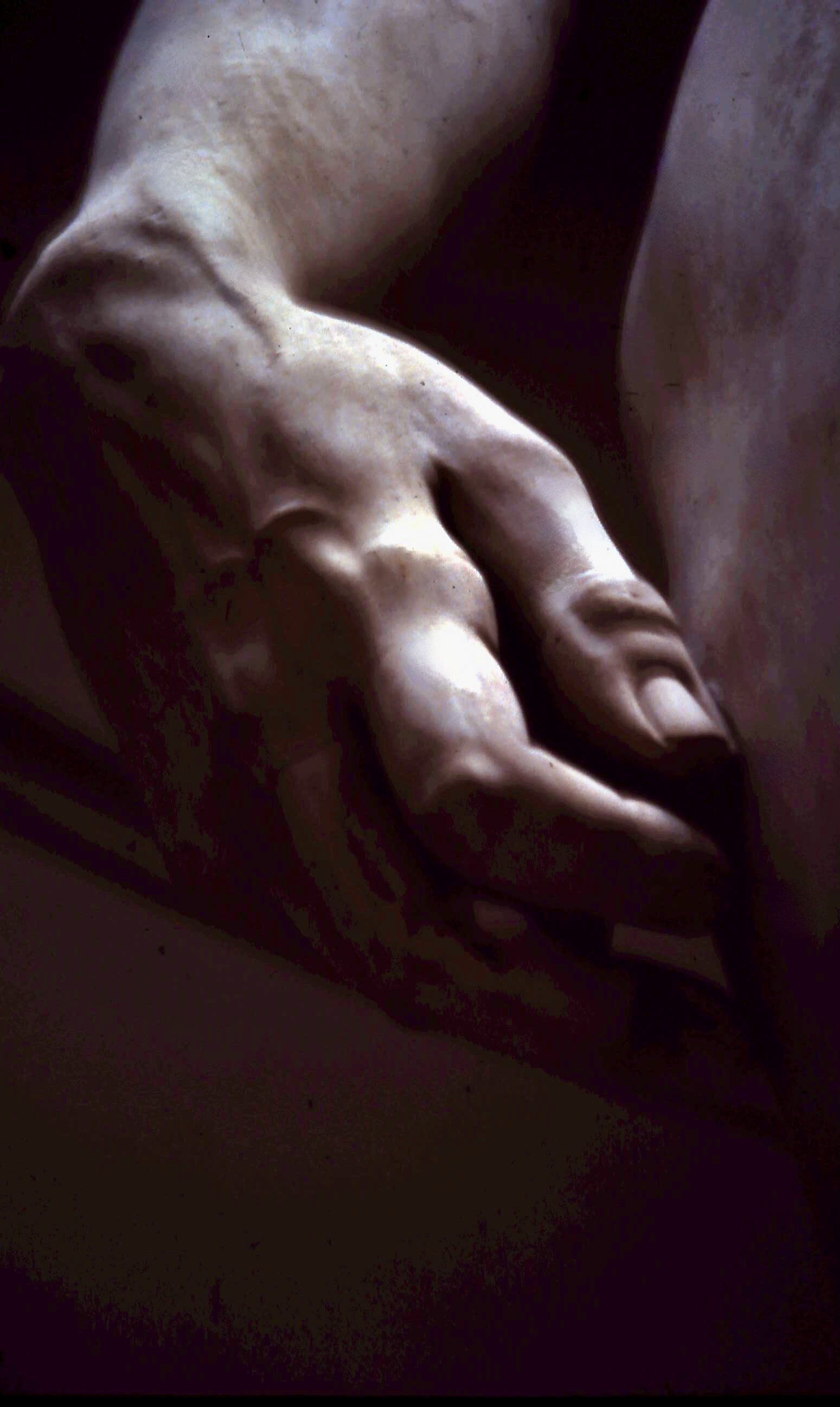1-1-2011_015.JPG
