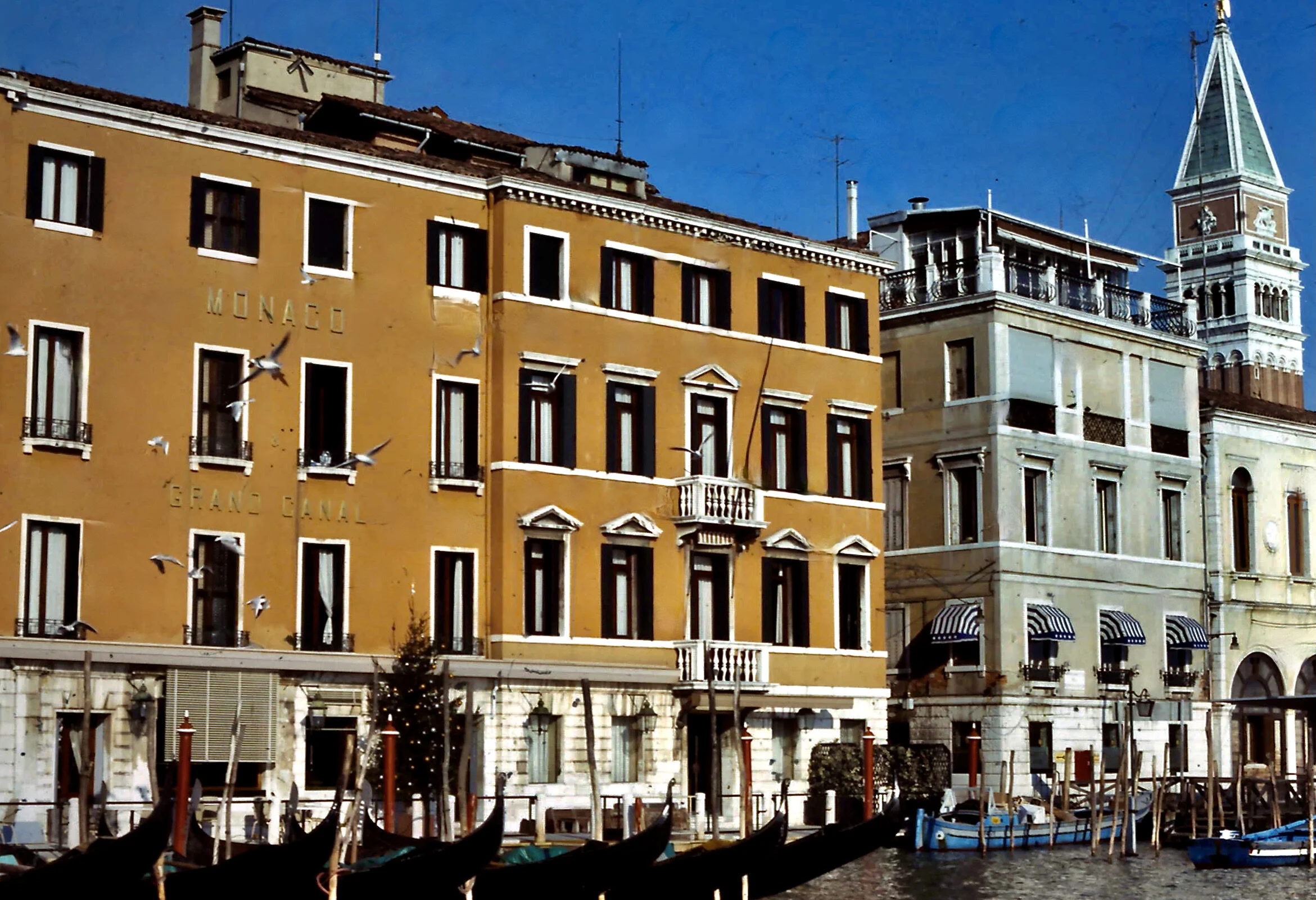 2-12-2011_006.JPG