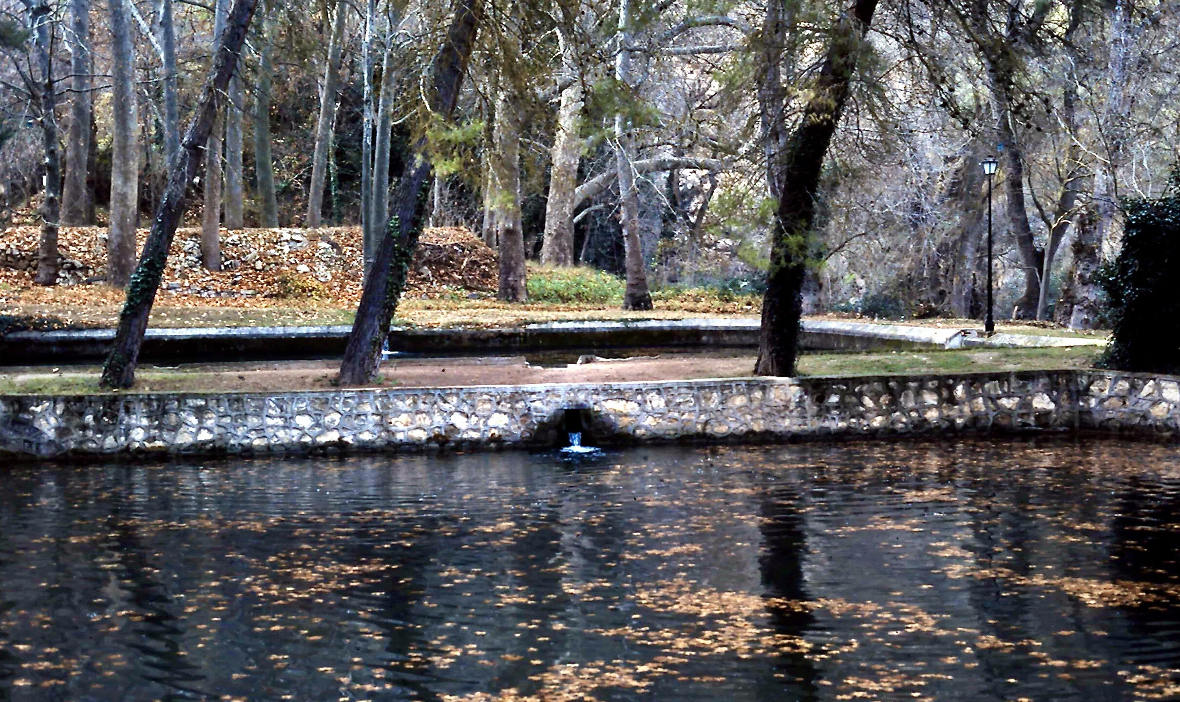12-29-2010_001.JPG