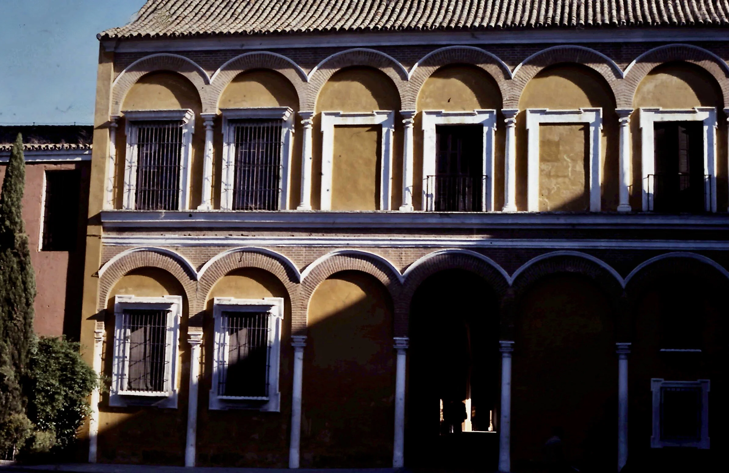 12-29-2010_010 (2).JPG