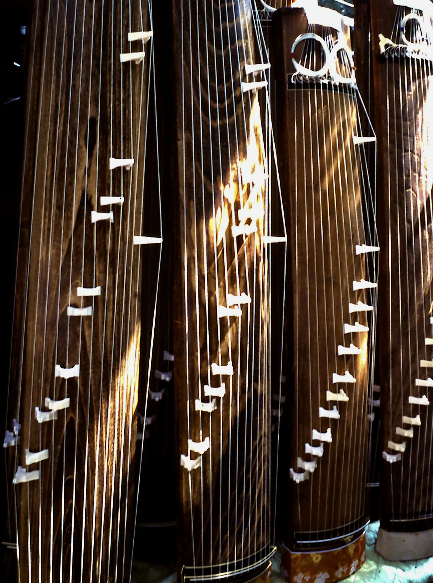 11-6-2010_035.JPG