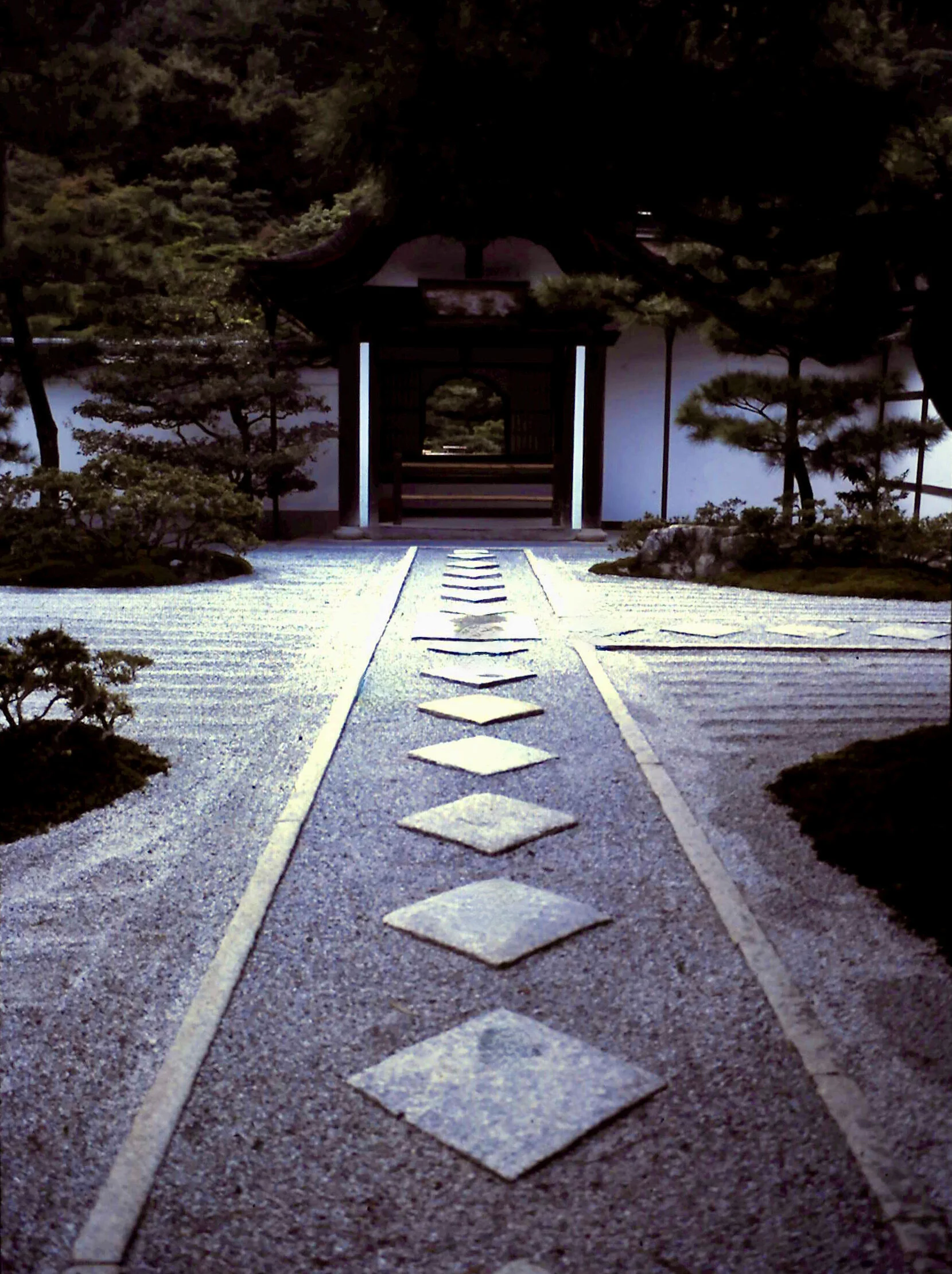 11-6-2010_080.JPG