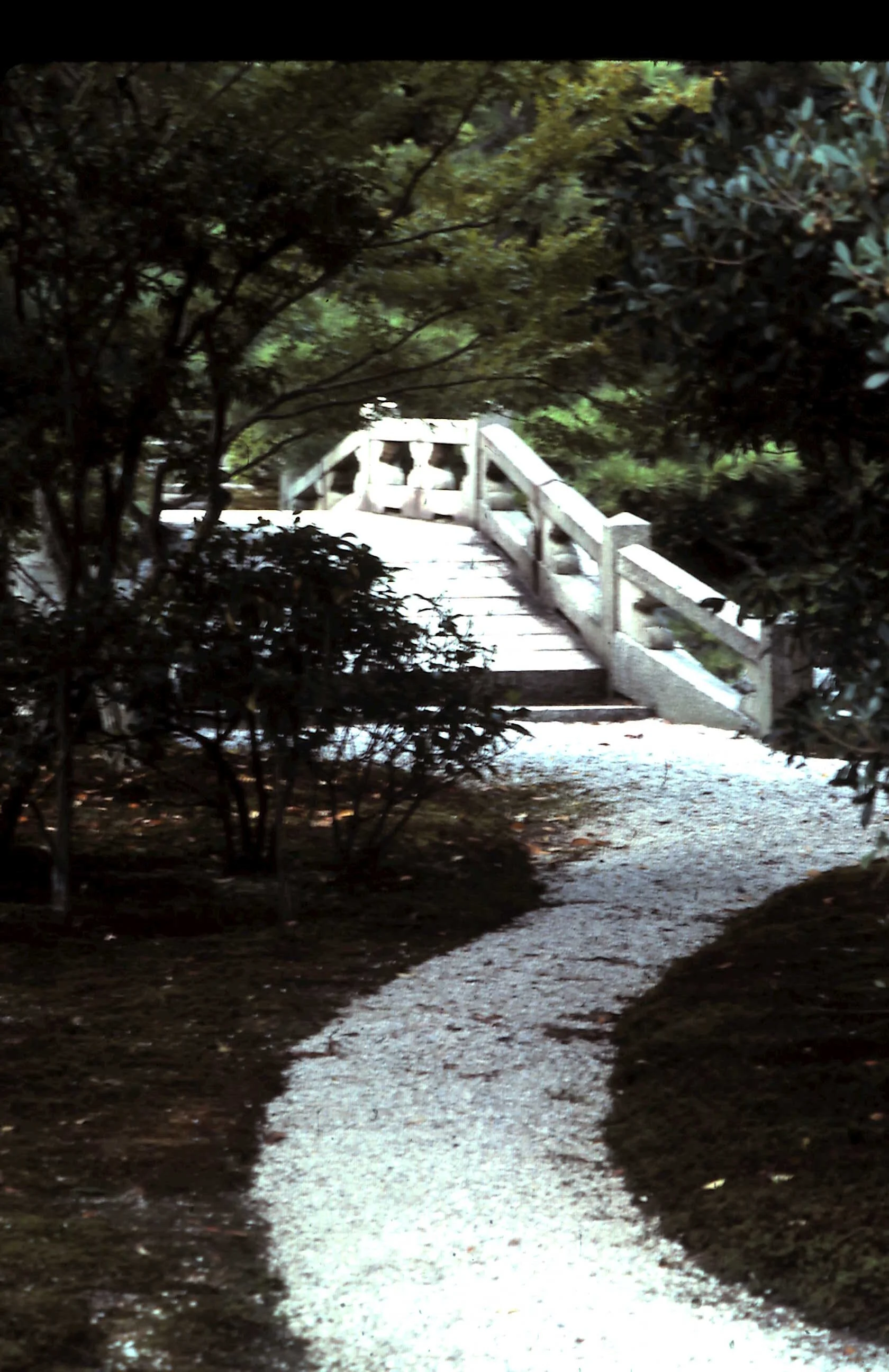 12-29-2010_005.JPG
