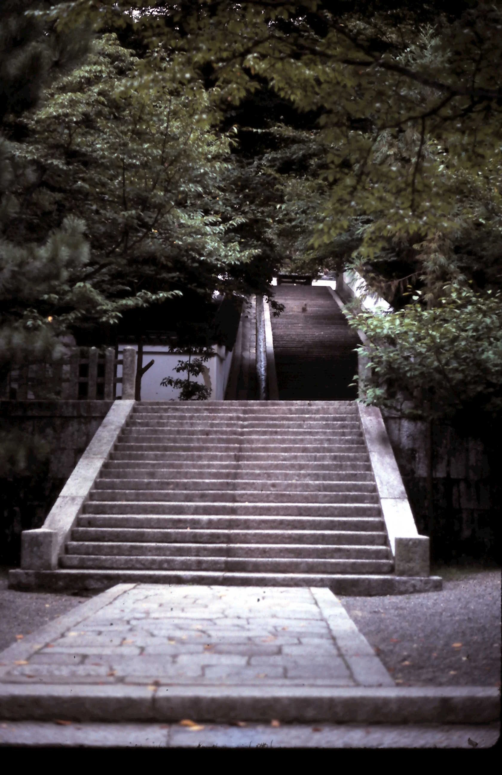 12-29-2010_015.JPG