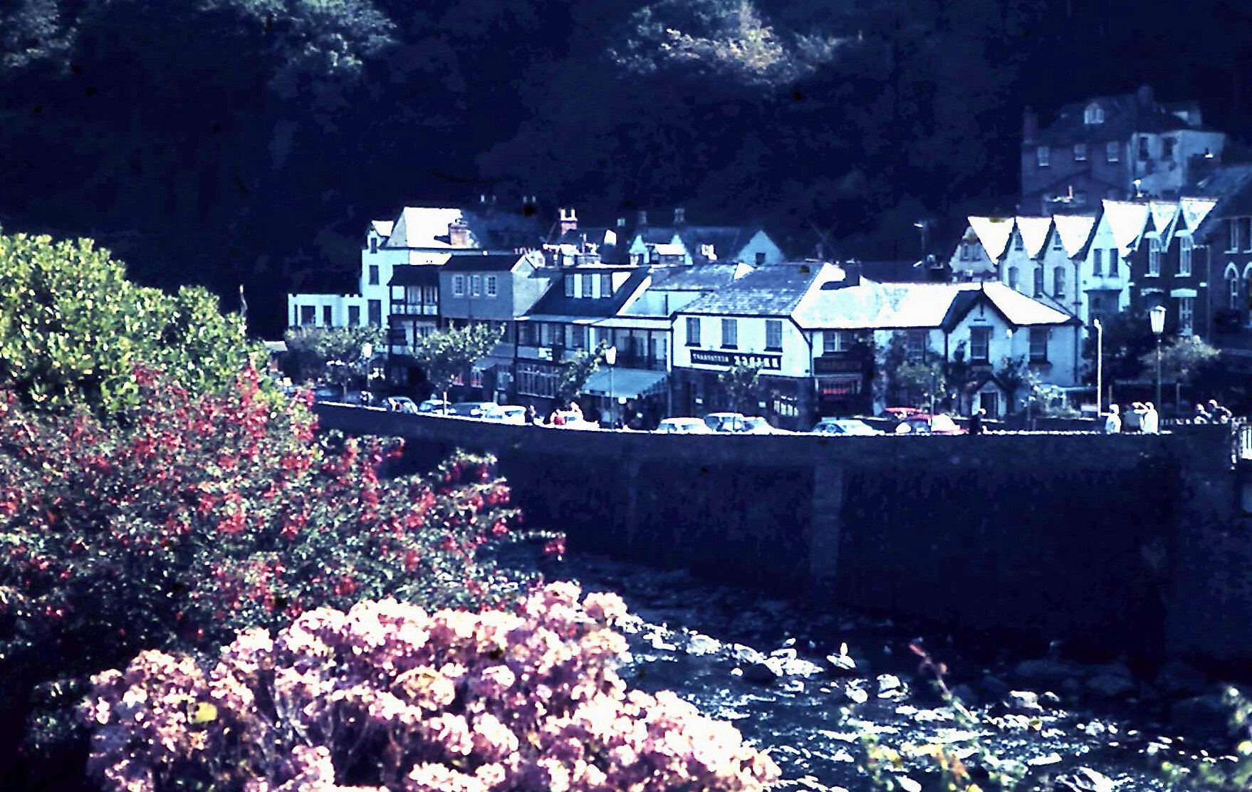 2-6-2011_018.JPG
