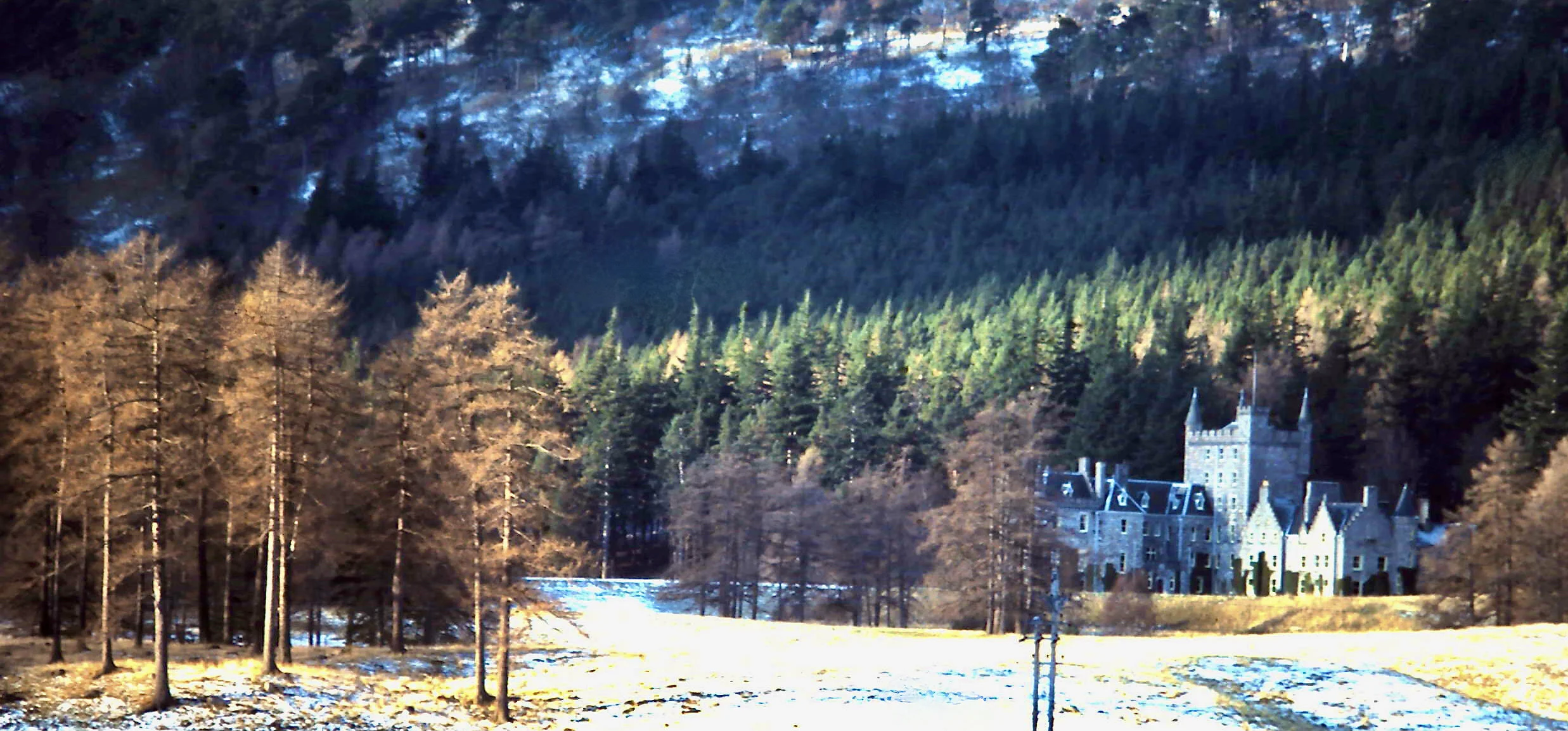 2-6-2011_029.JPG