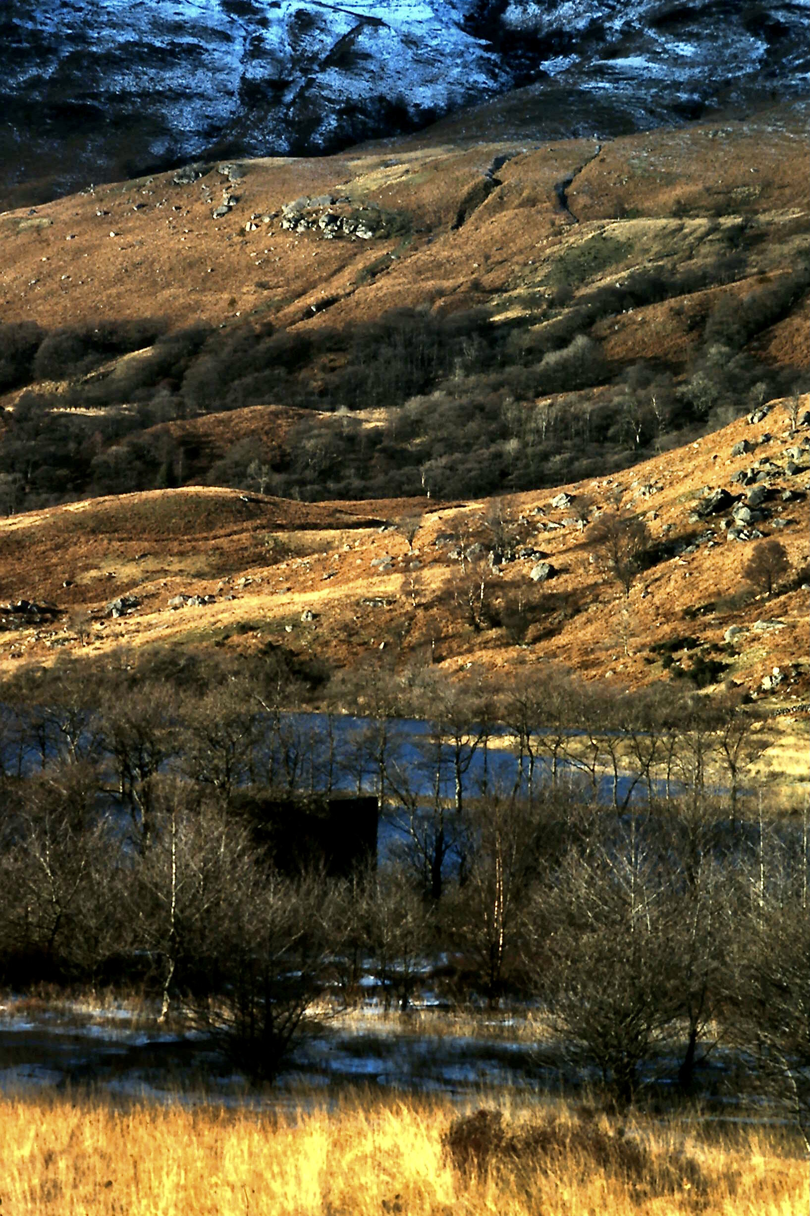 2-6-2011_038.JPG