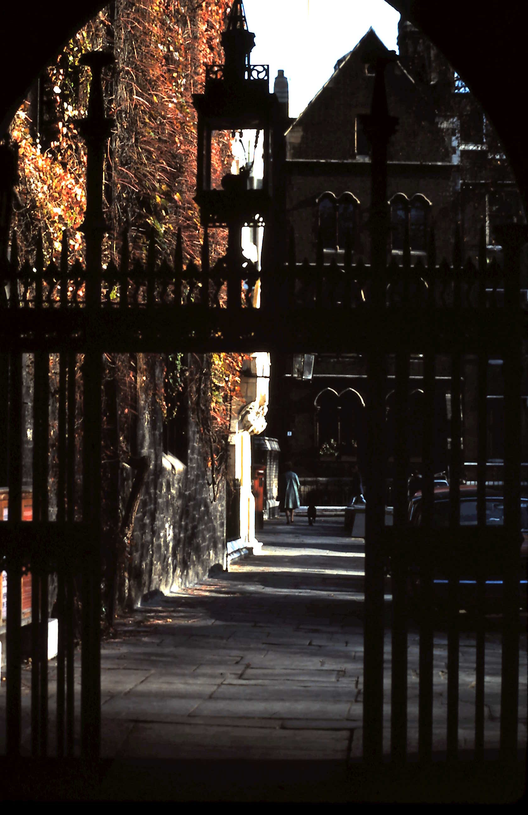 2-15-2011_063.JPG