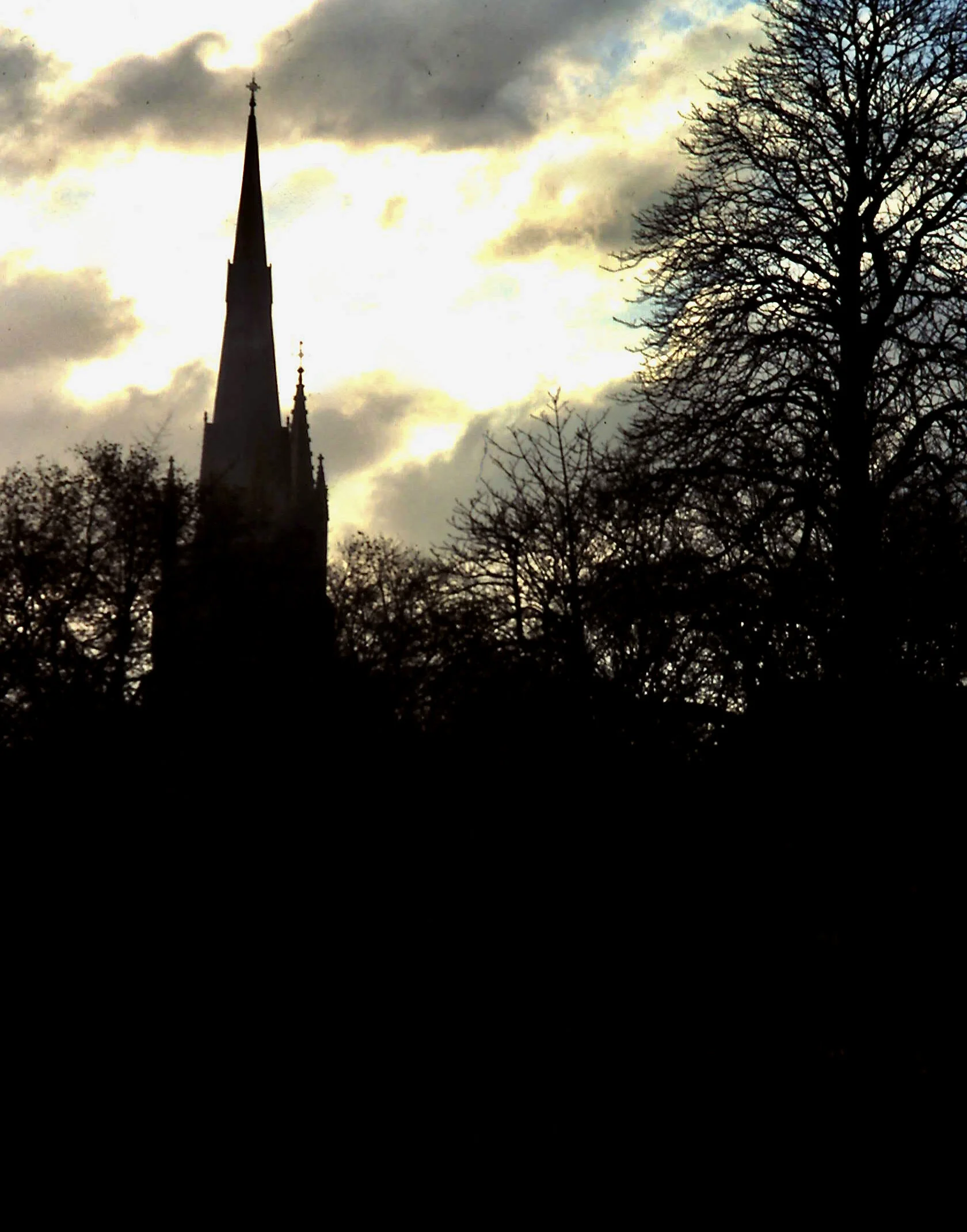 2-15-2011_075.JPG