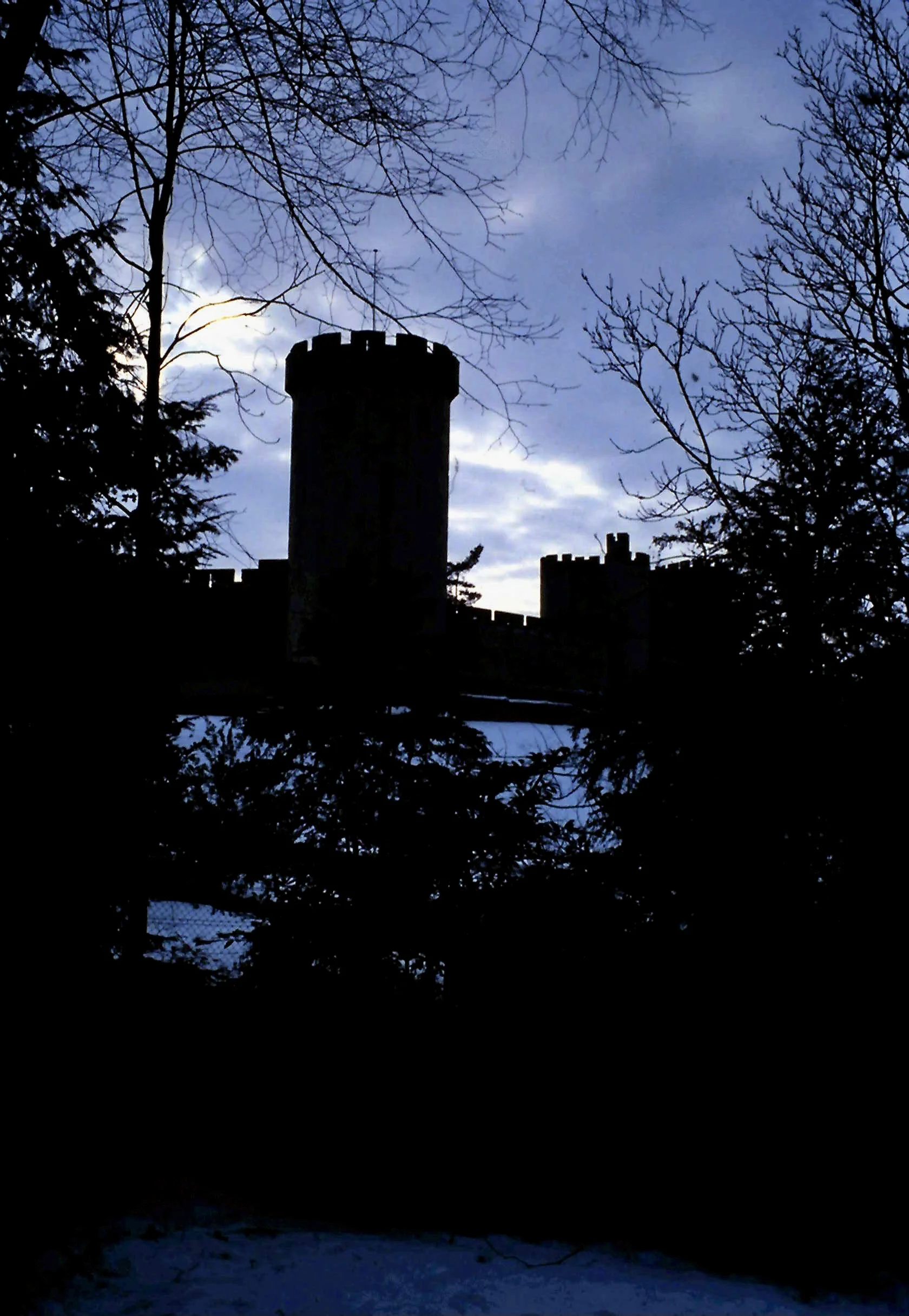 2-15-2011_103.JPG