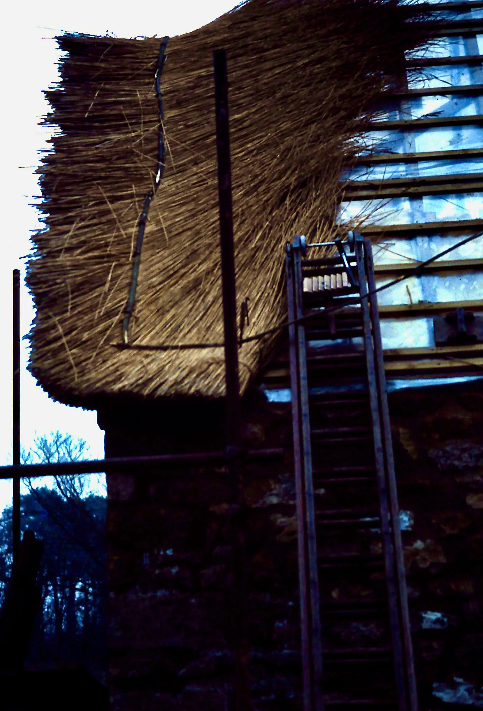 2-15-2011_110.JPG